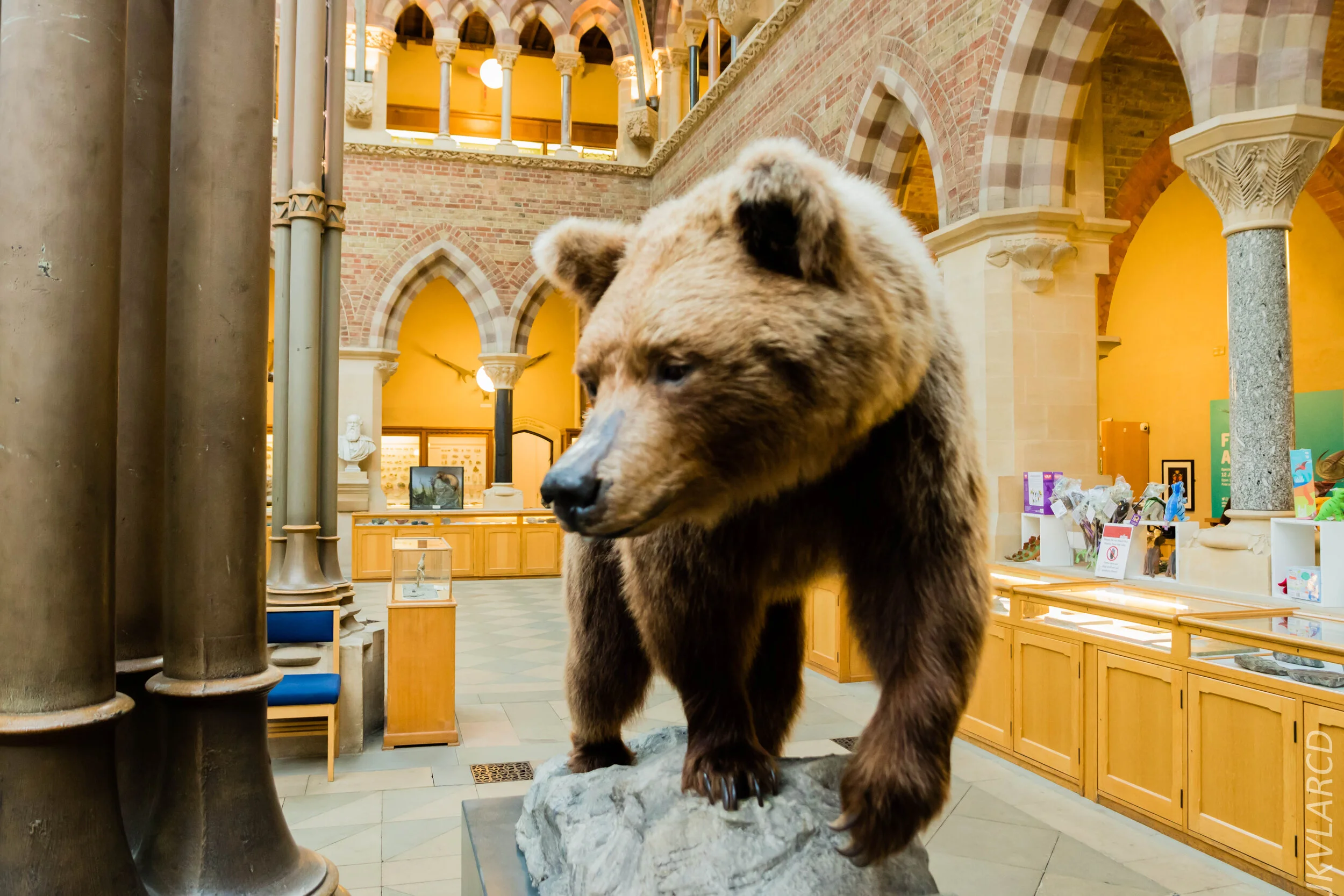 EOS 7D Mark II_2019_11_11_8036.jpg