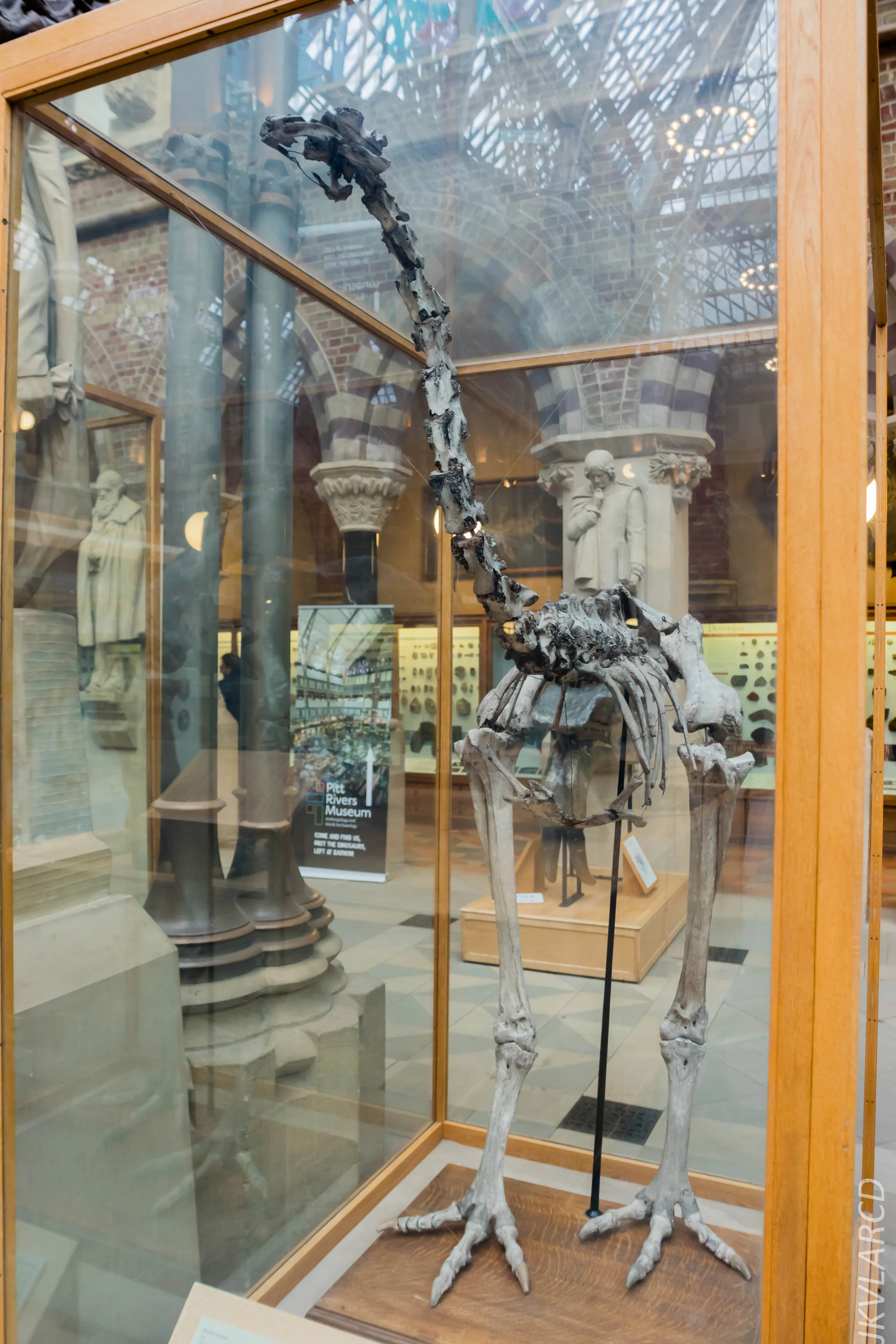 EOS 7D Mark II_2019_11_11_8040.jpg