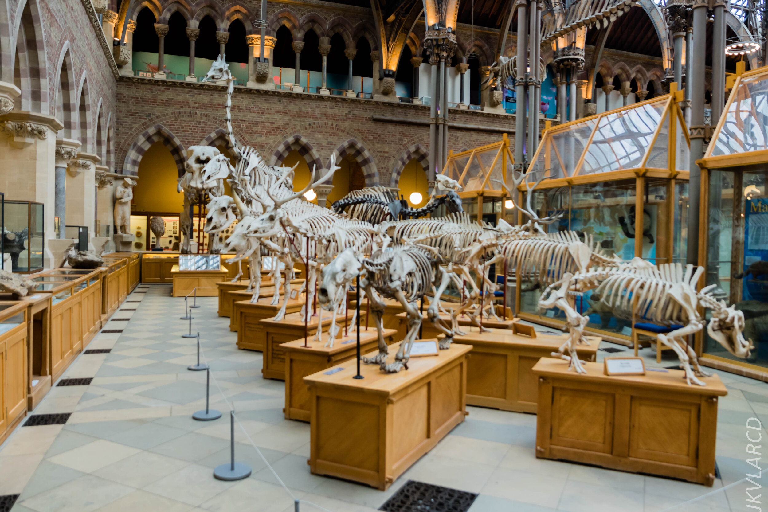 EOS 7D Mark II_2019_11_11_8042.jpg