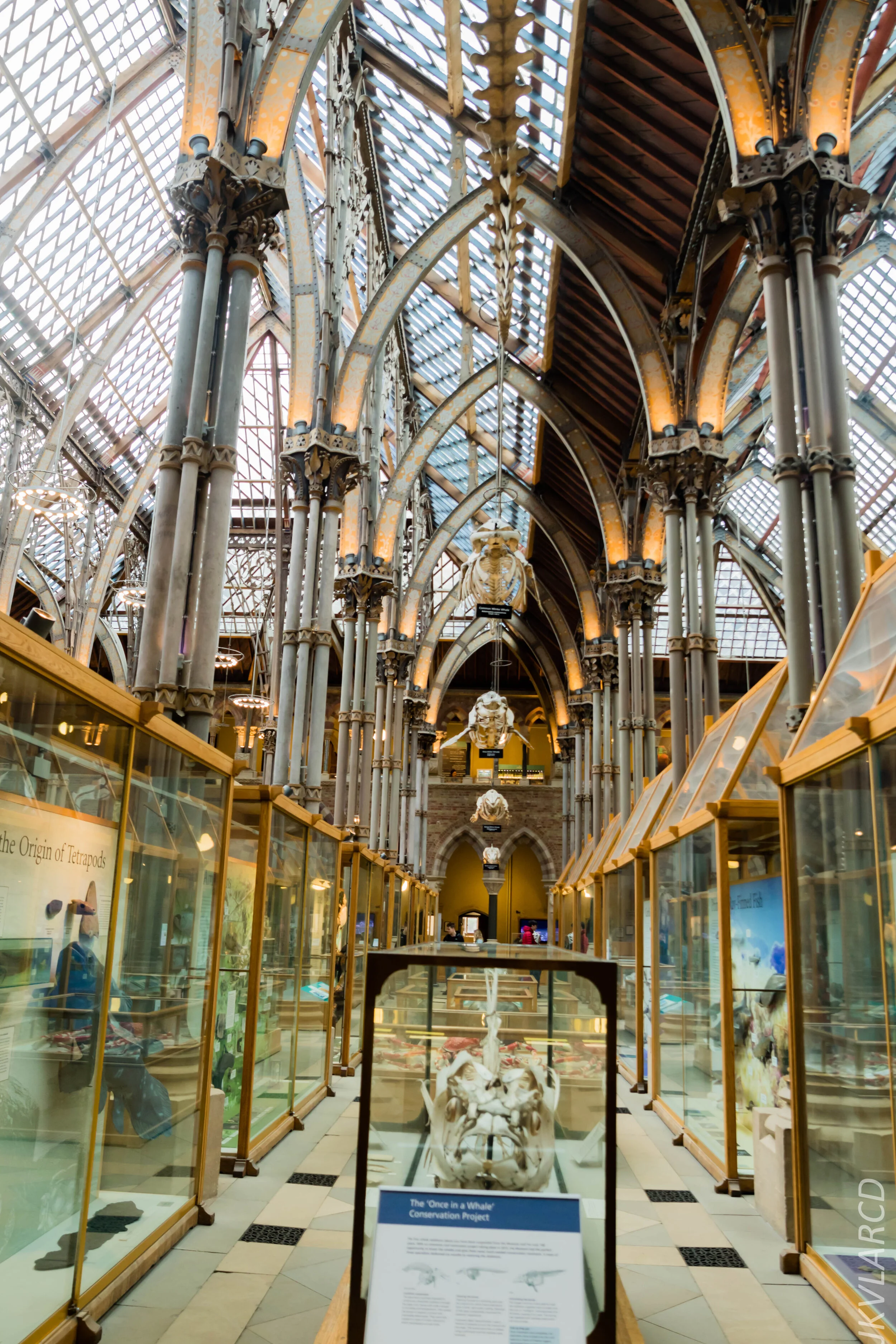 EOS 7D Mark II_2019_11_11_8041.jpg