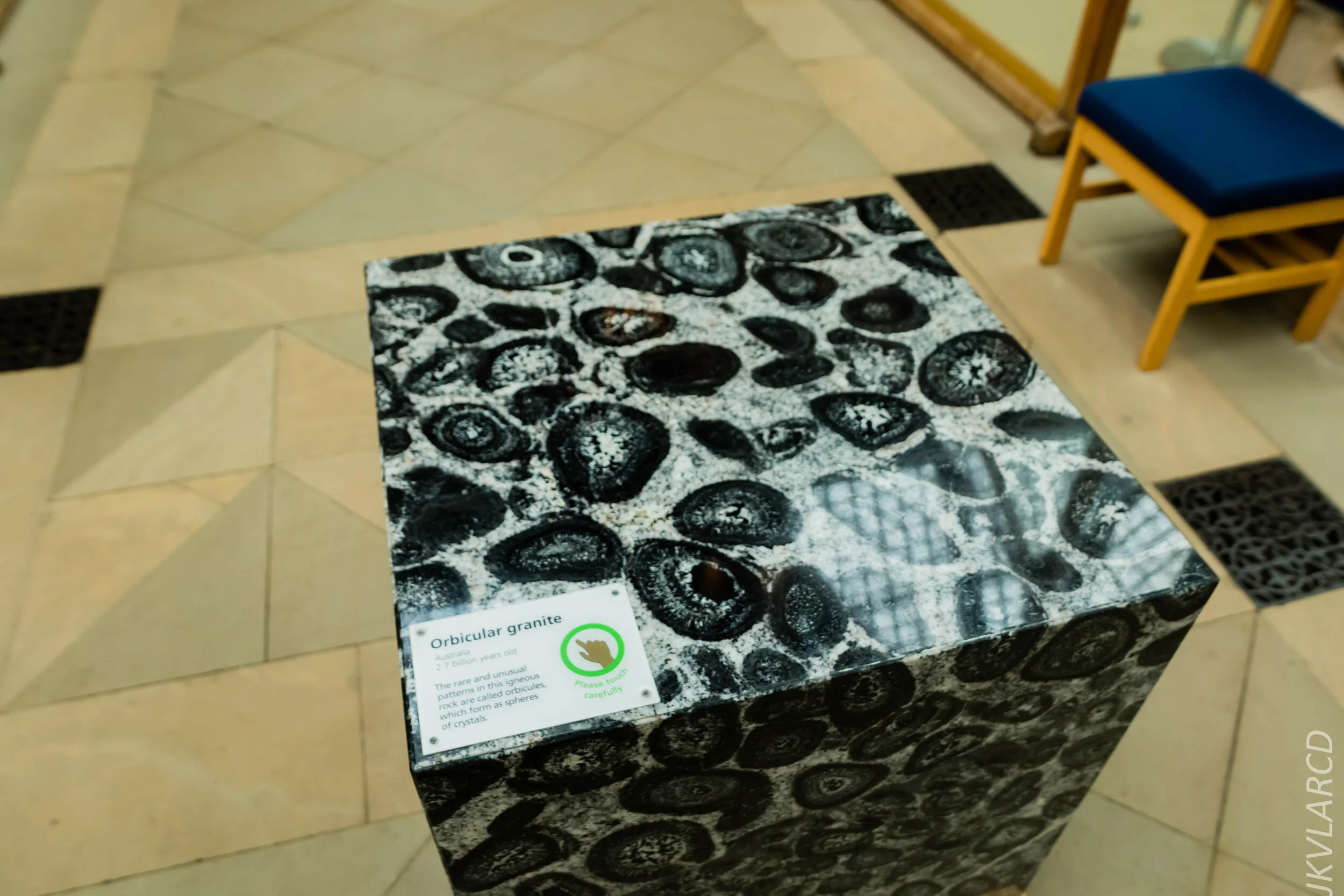 EOS 7D Mark II_2019_11_11_8046.jpg