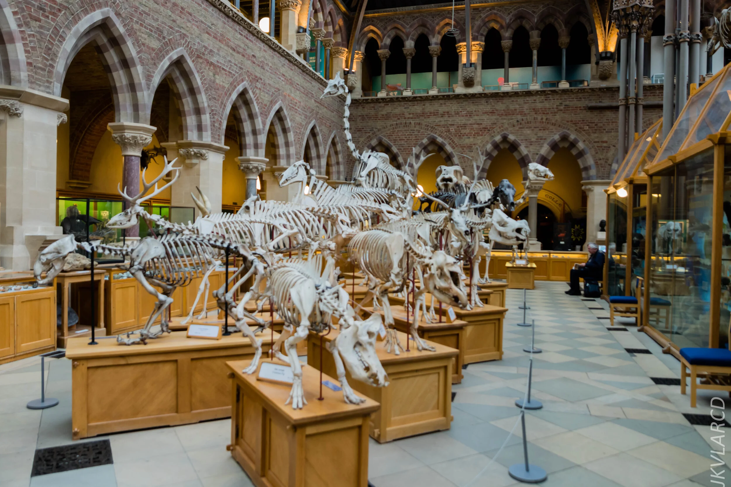 EOS 7D Mark II_2019_11_11_8044.jpg