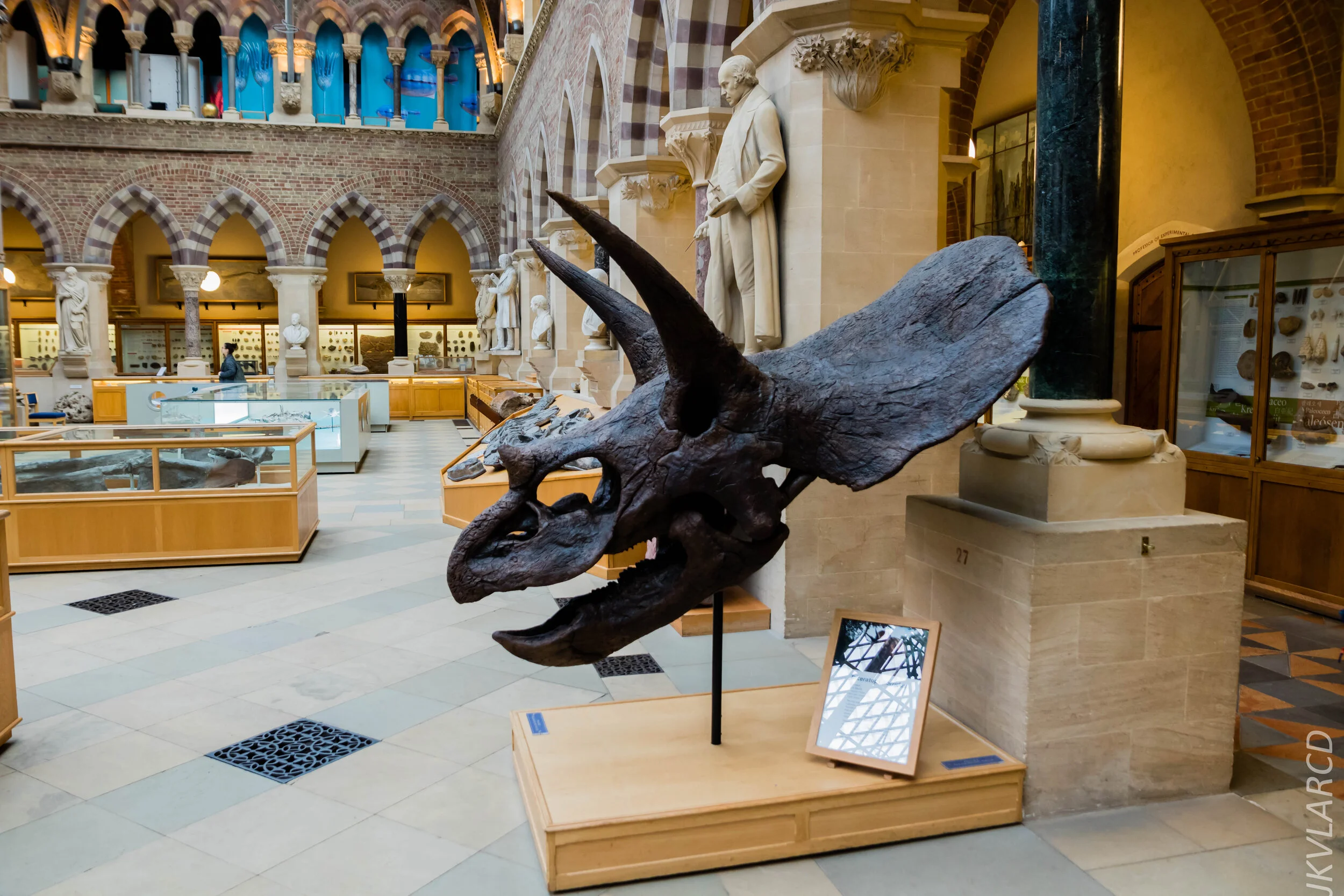 EOS 7D Mark II_2019_11_11_8048.jpg