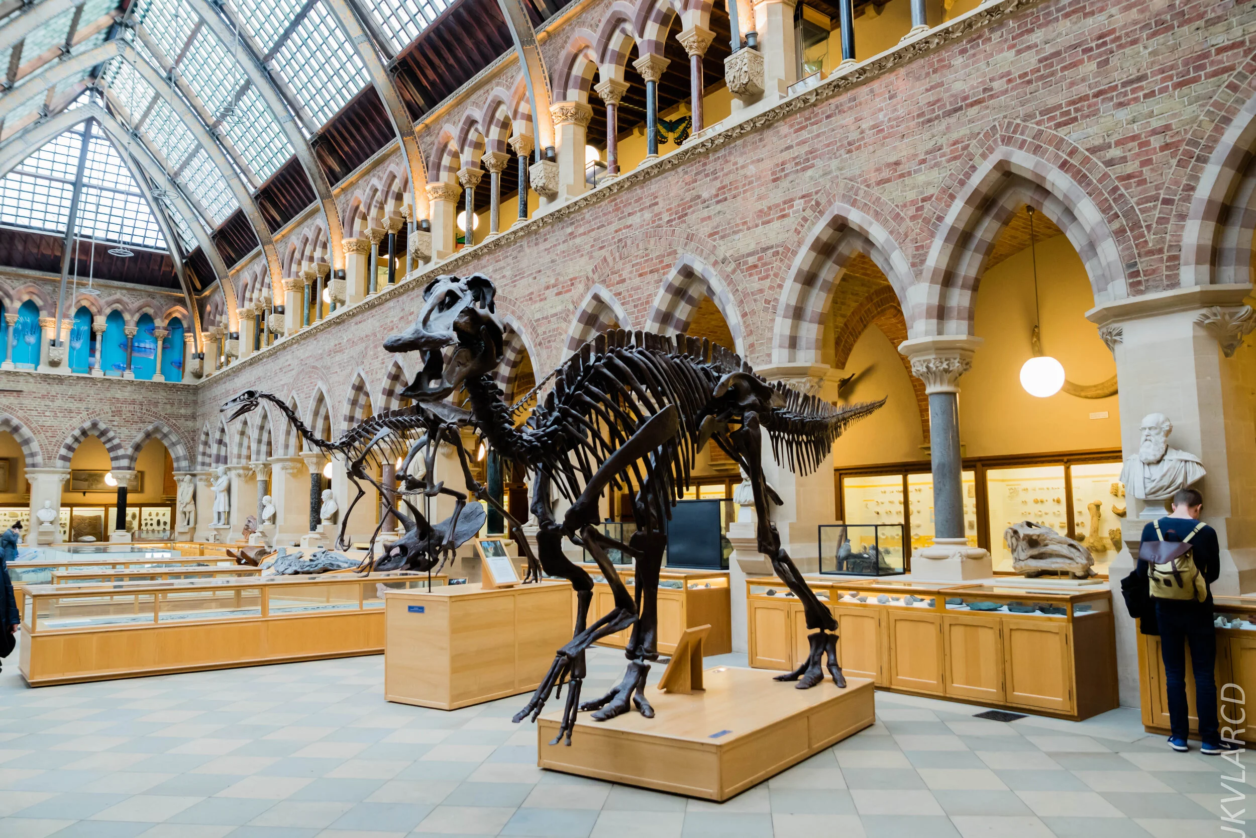 EOS 7D Mark II_2019_11_11_8047.jpg