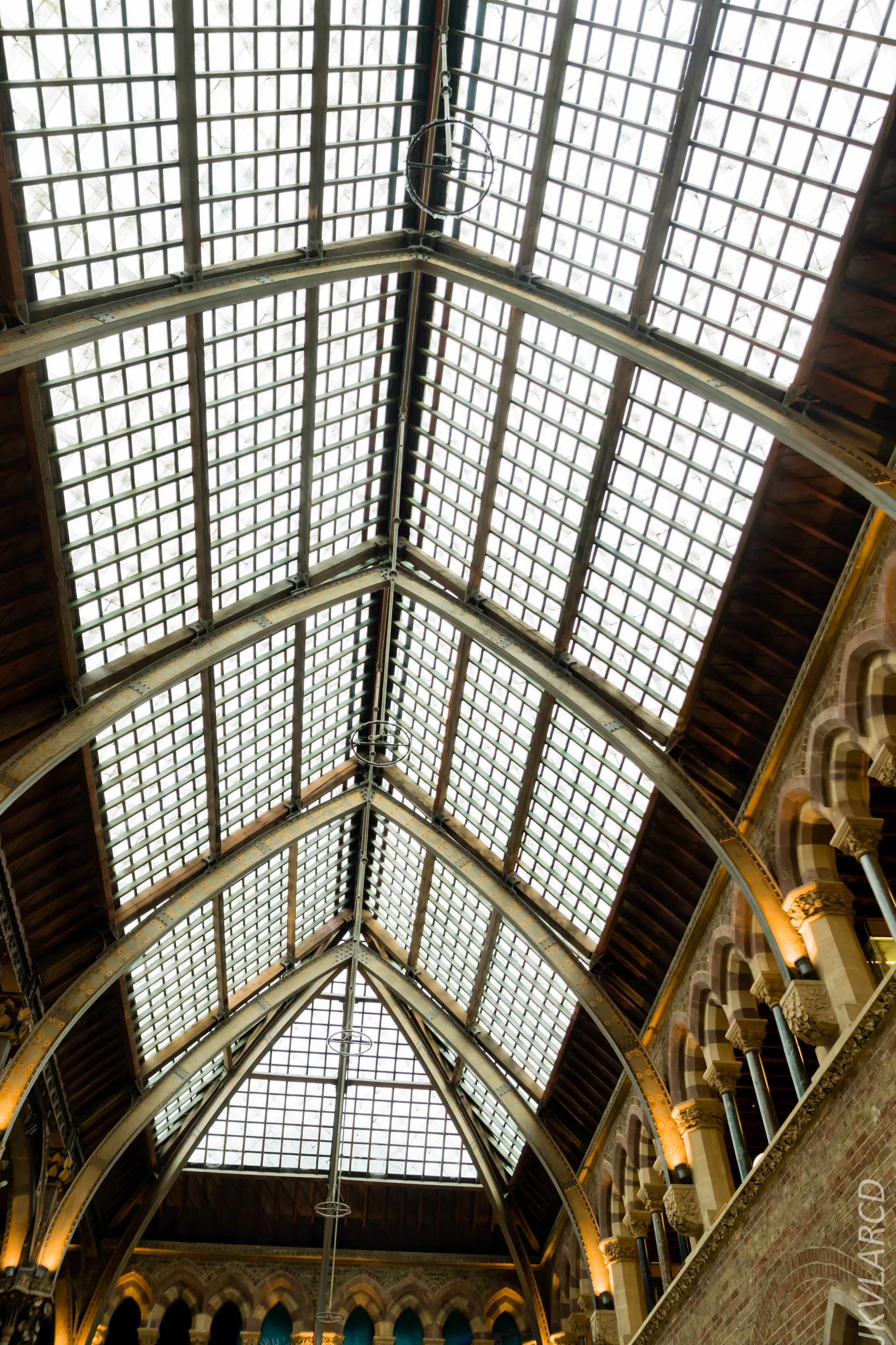 EOS 7D Mark II_2019_11_11_8050.jpg