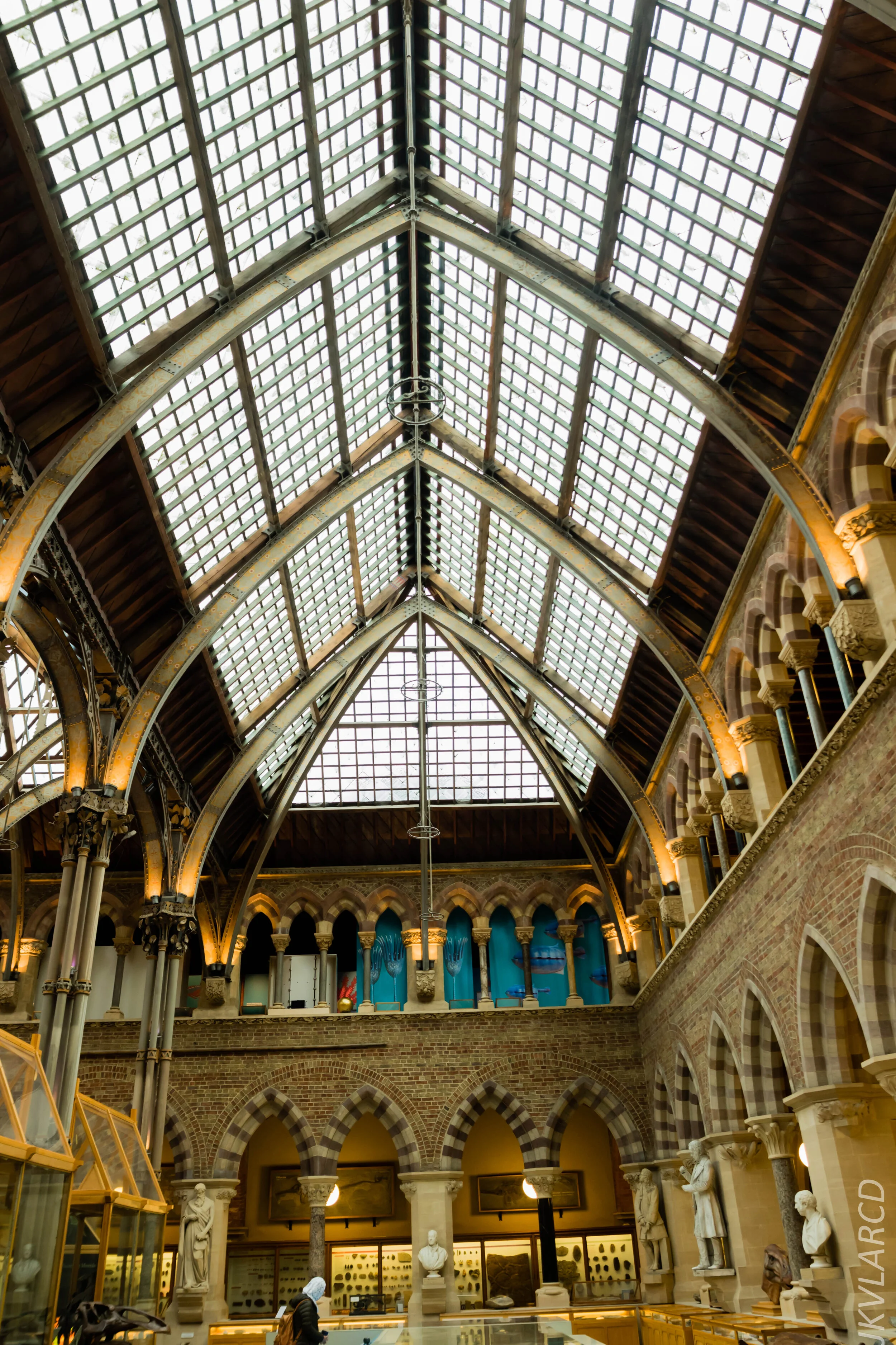 EOS 7D Mark II_2019_11_11_8051.jpg