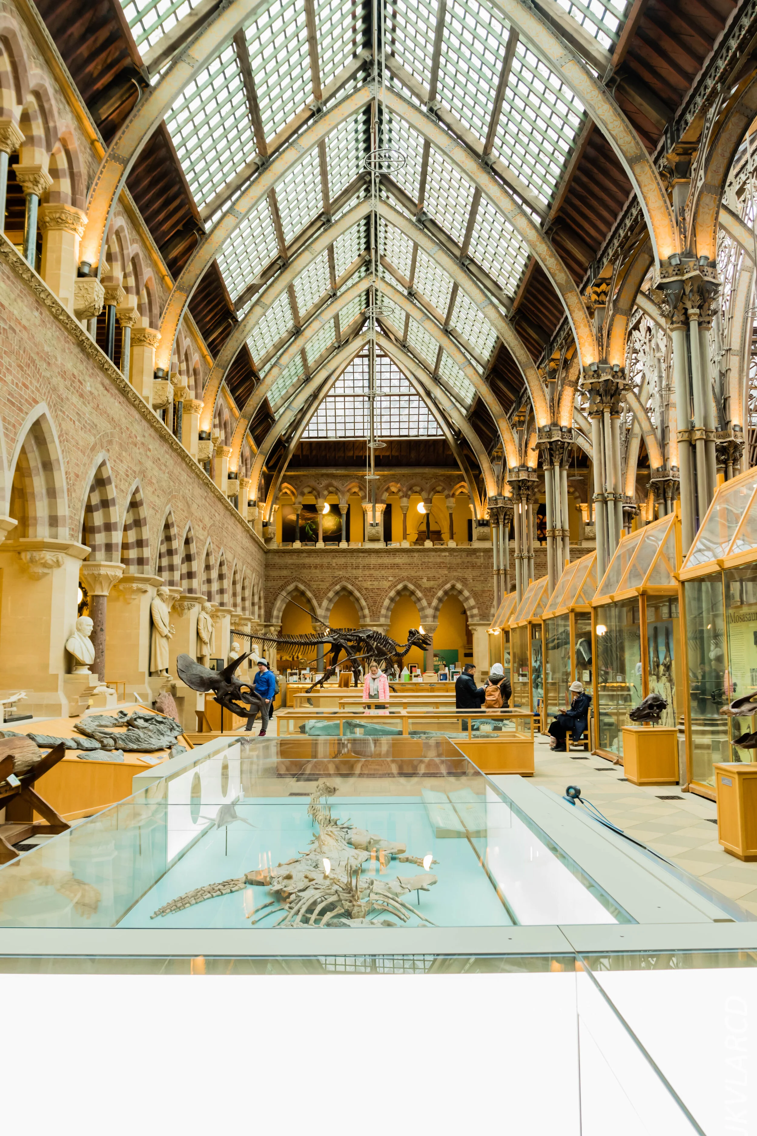 EOS 7D Mark II_2019_11_11_8054.jpg