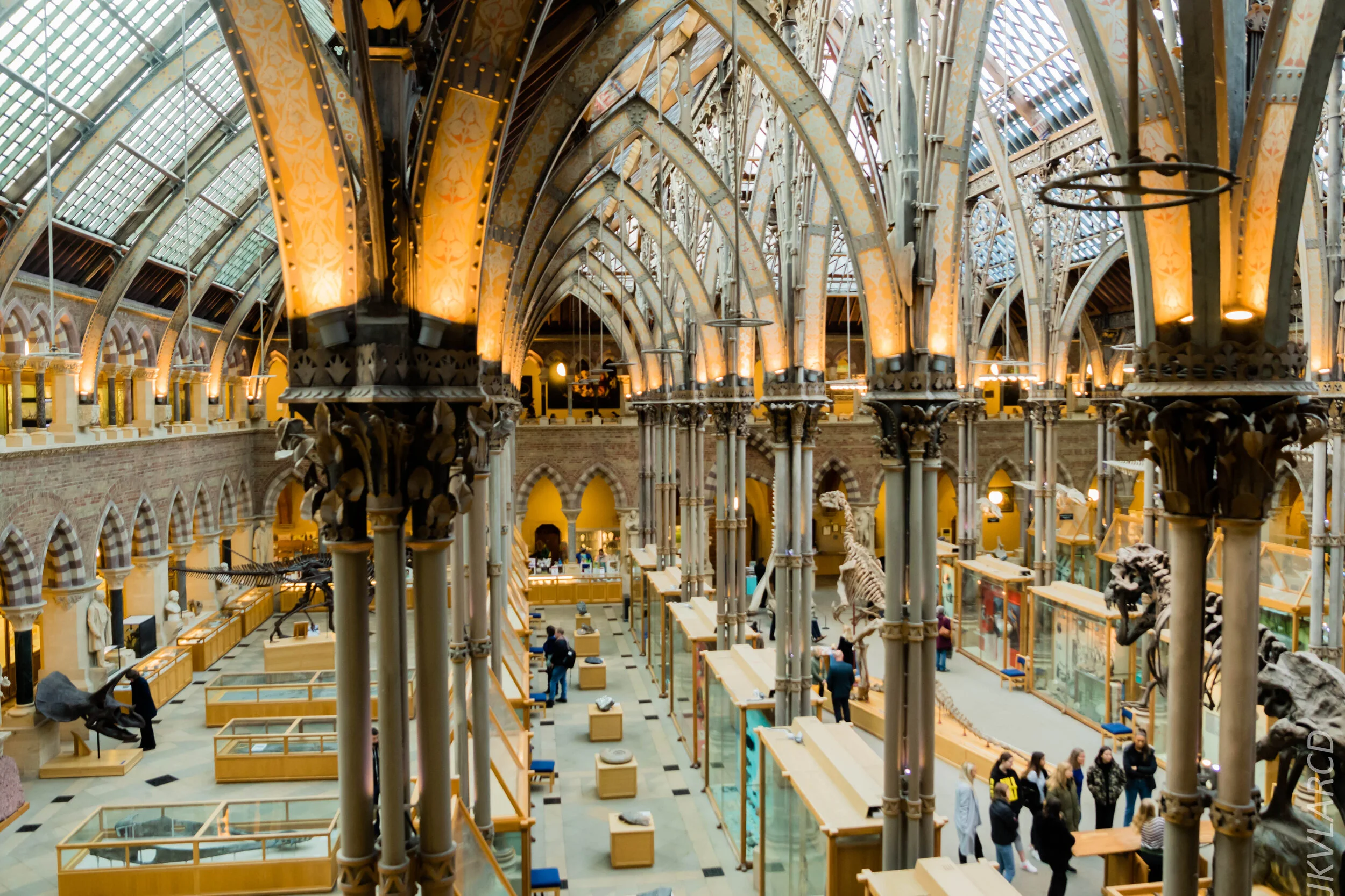 EOS 7D Mark II_2019_11_11_8056.jpg