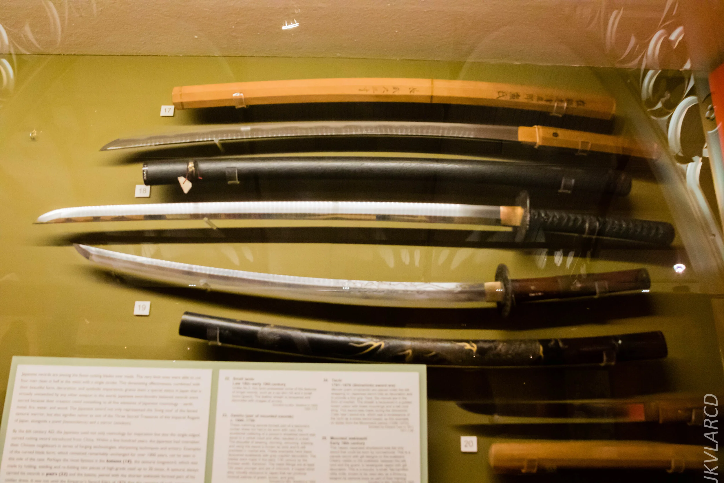 EOS 7D Mark II_2019_11_11_8060.jpg