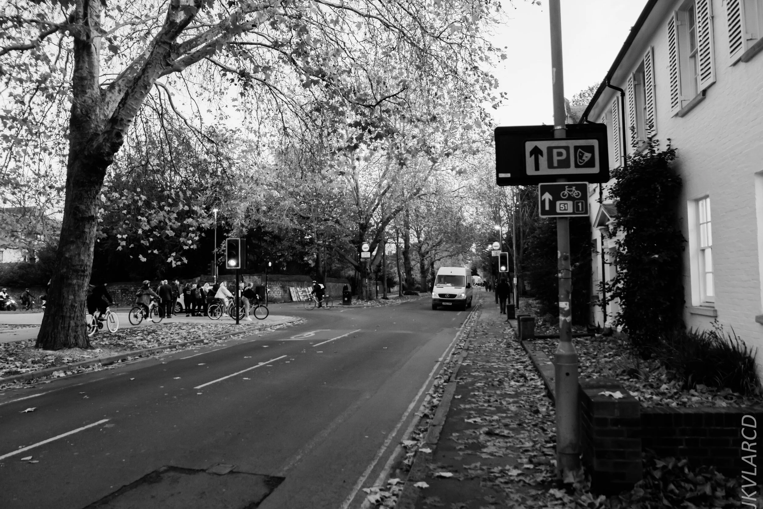 EOS 7D Mark II_2019_11_11_8061.jpg