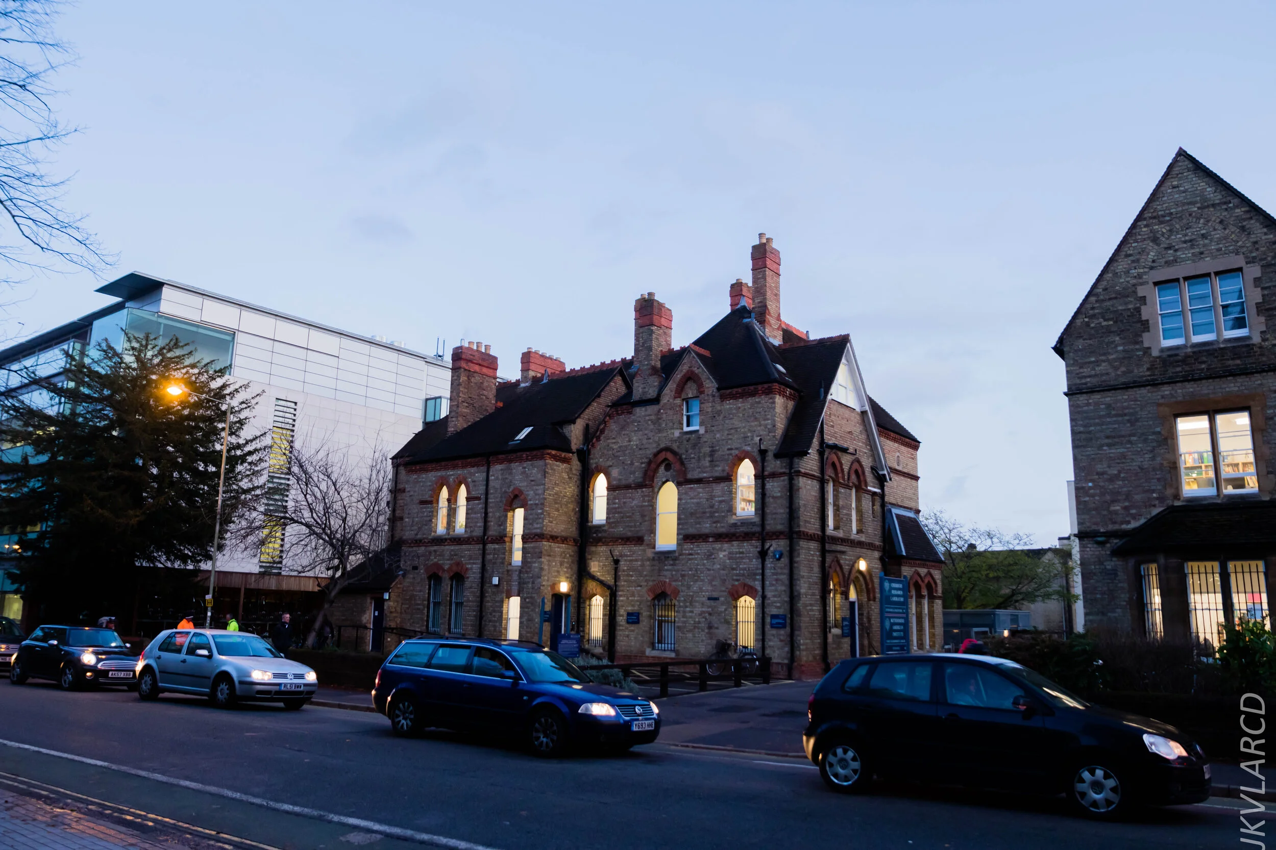 EOS 7D Mark II_2019_11_11_8065.jpg