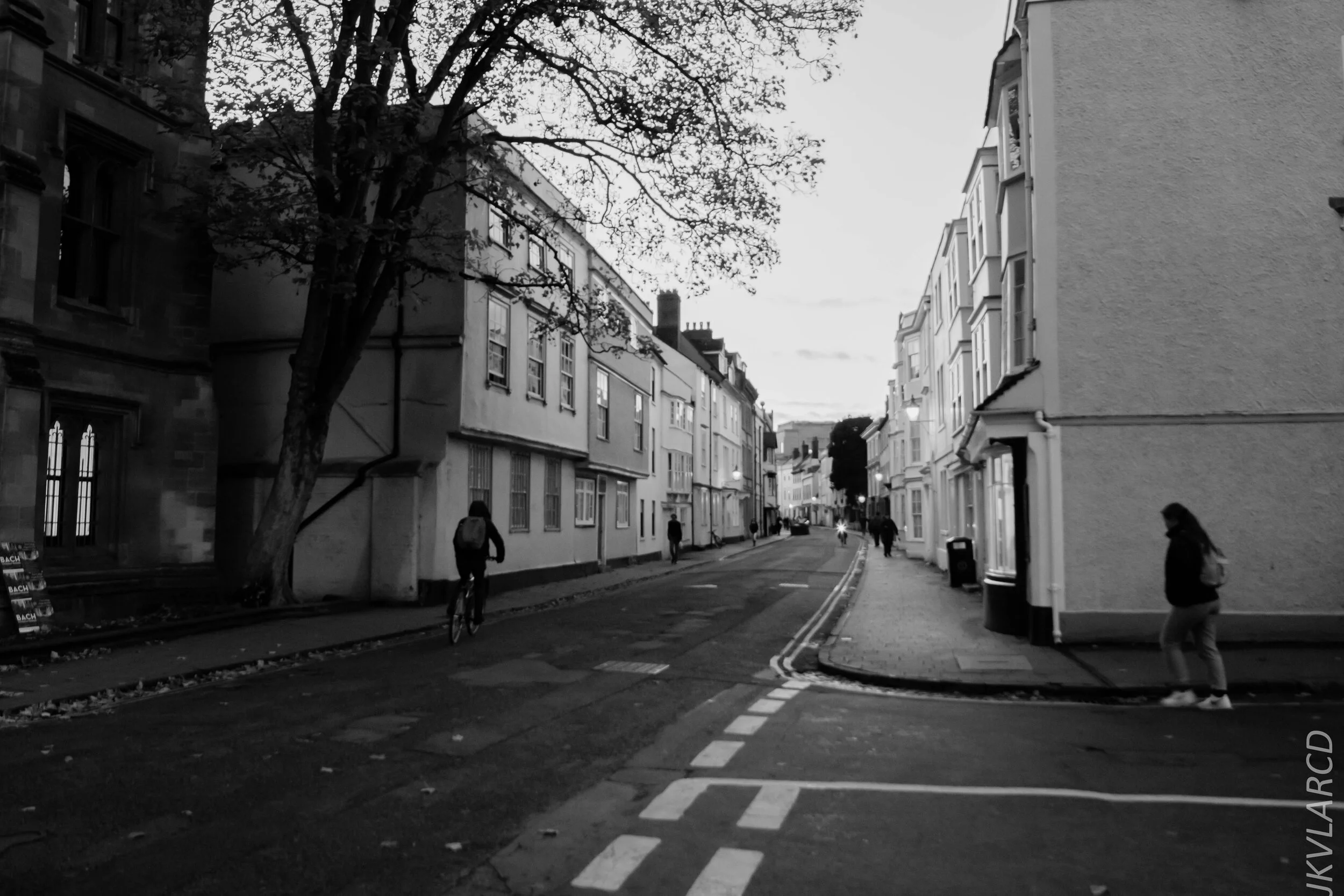 EOS 7D Mark II_2019_11_11_8069.jpg