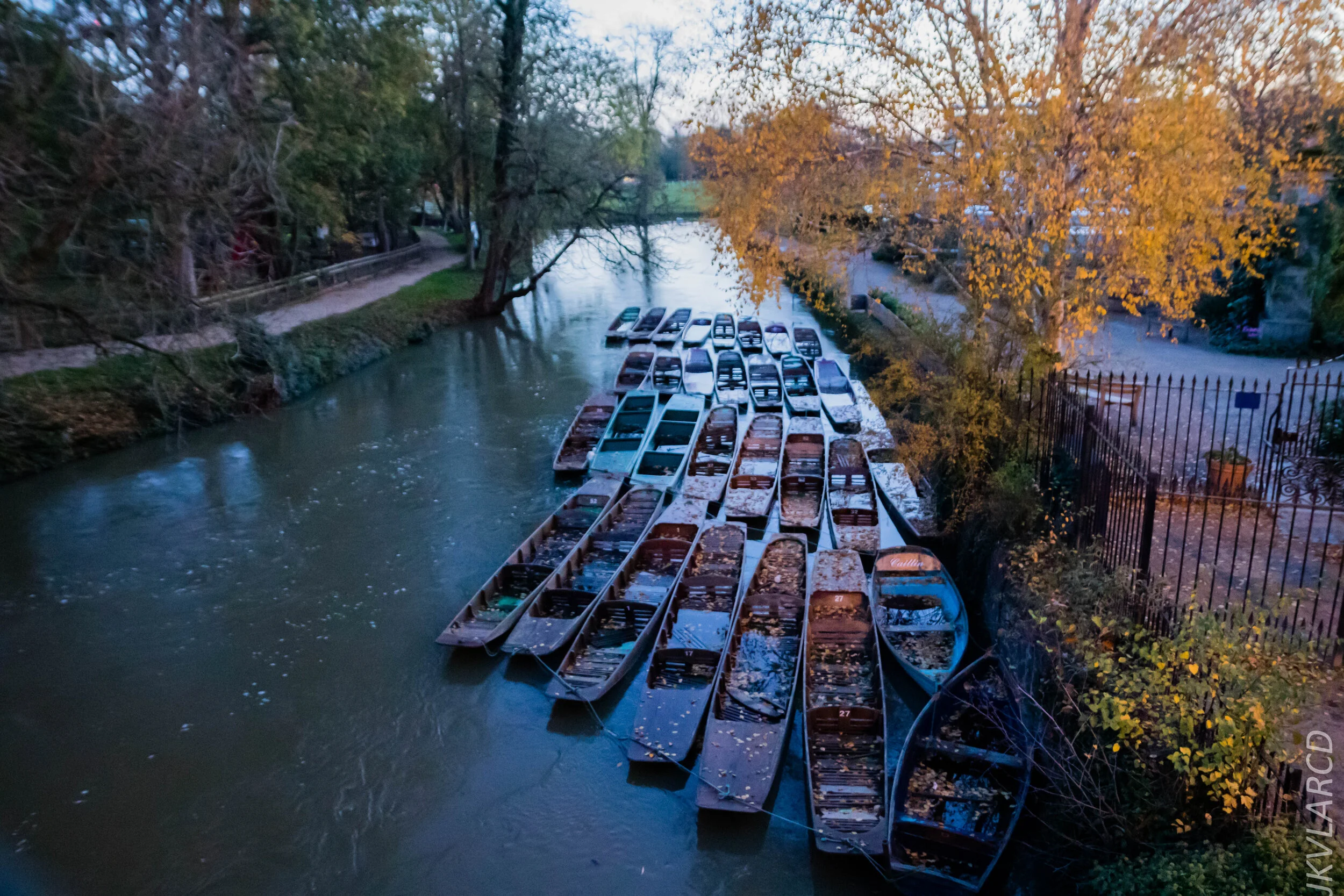 EOS 7D Mark II_2019_11_11_8072.jpg
