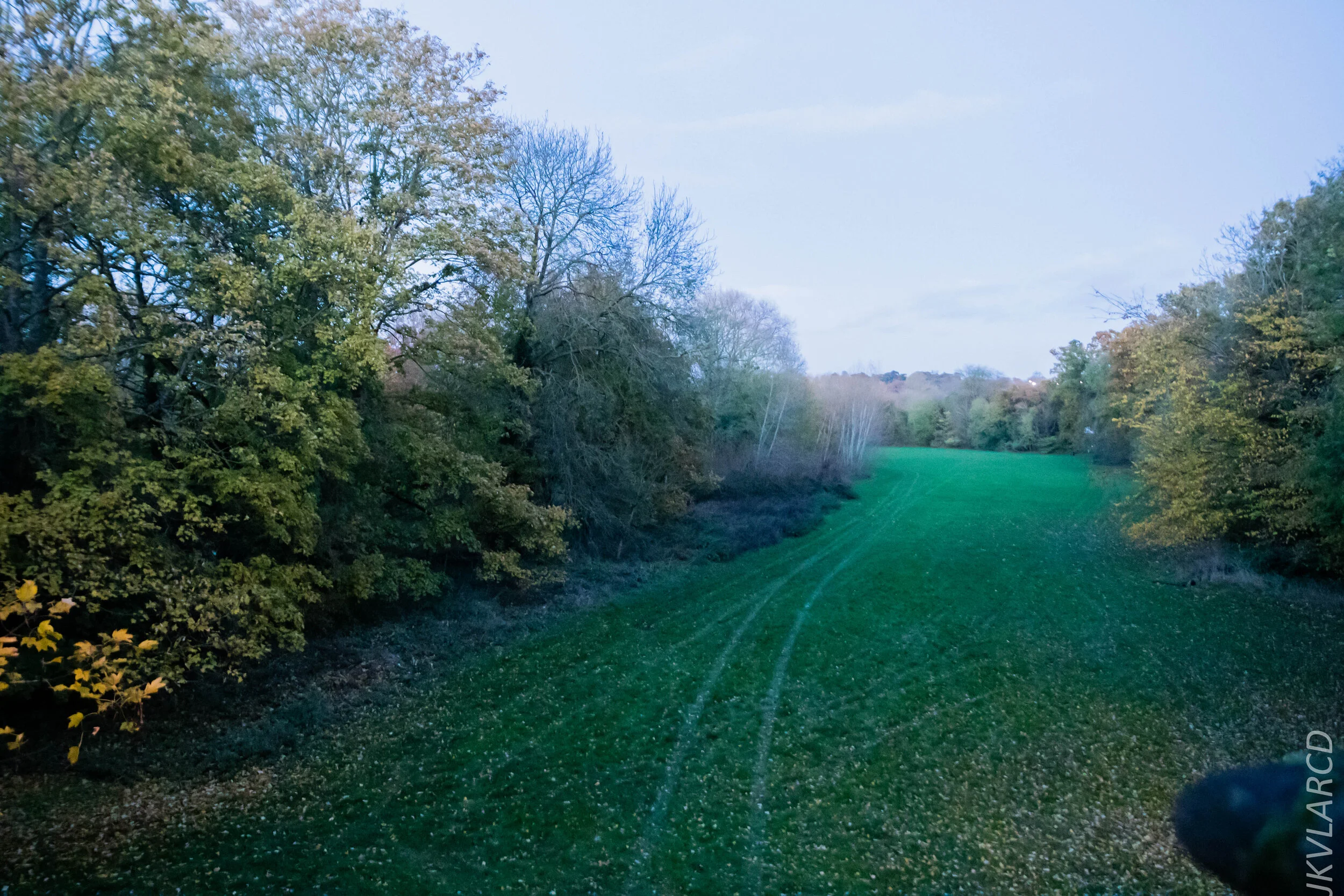 EOS 7D Mark II_2019_11_11_8078.jpg