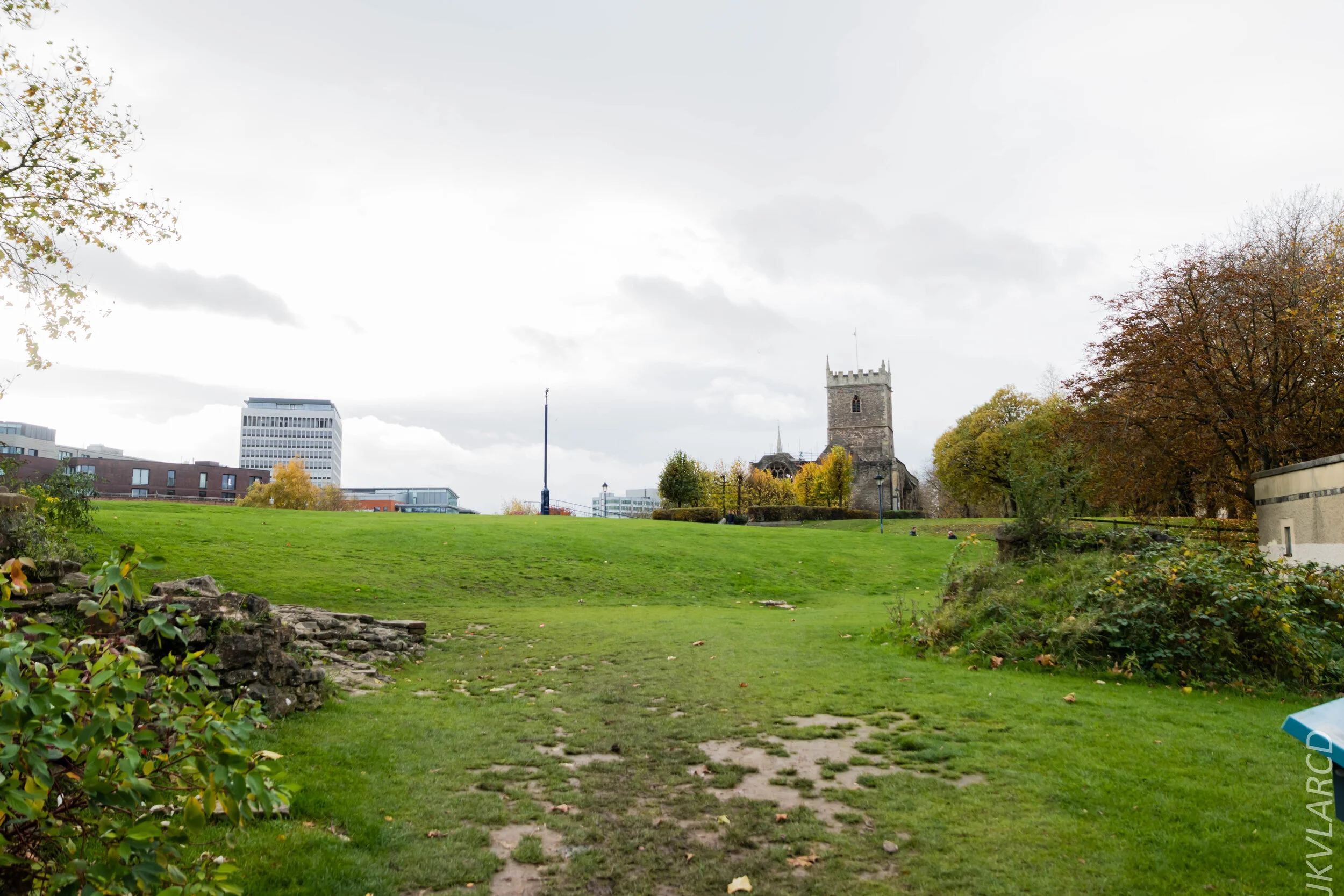 EOS 7D Mark II_2019_11_12_8097.jpg