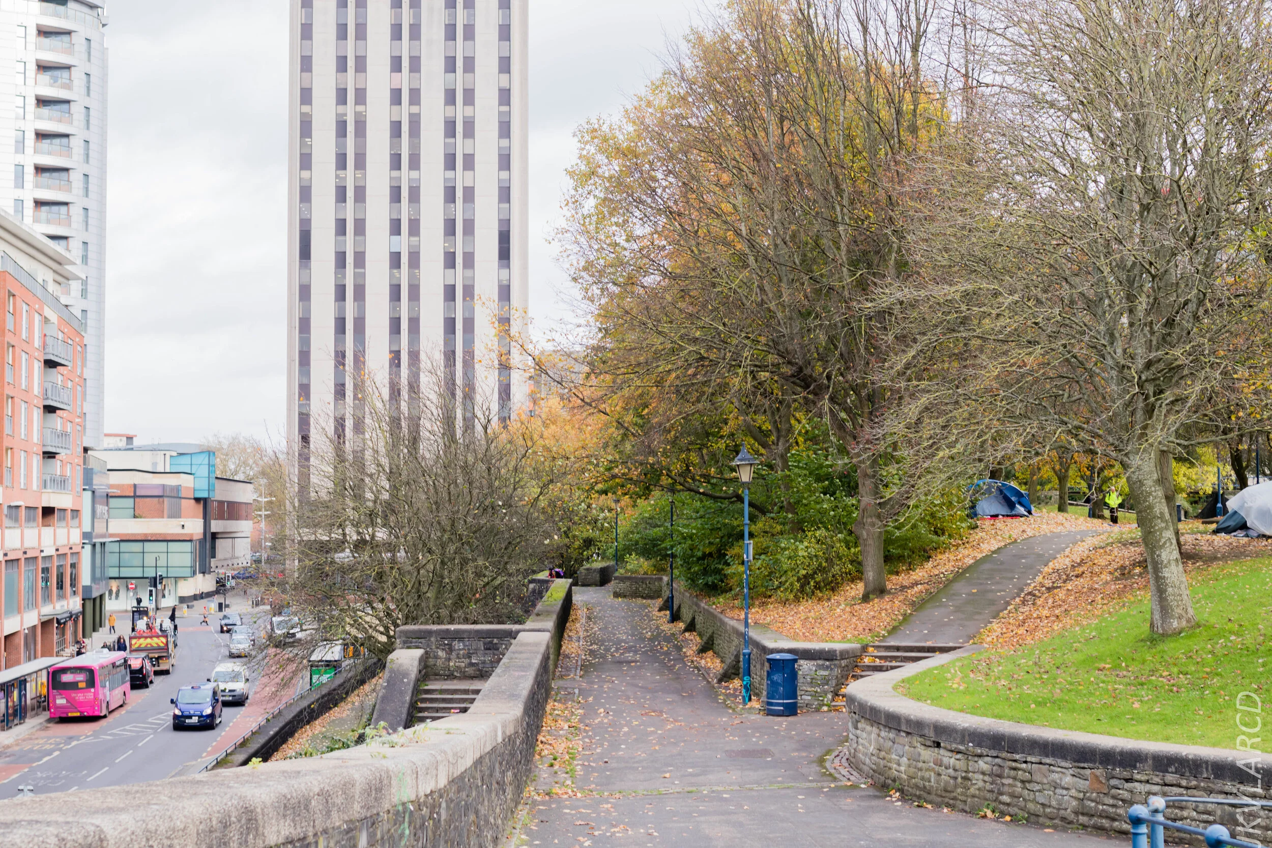 EOS 7D Mark II_2019_11_12_8095.jpg