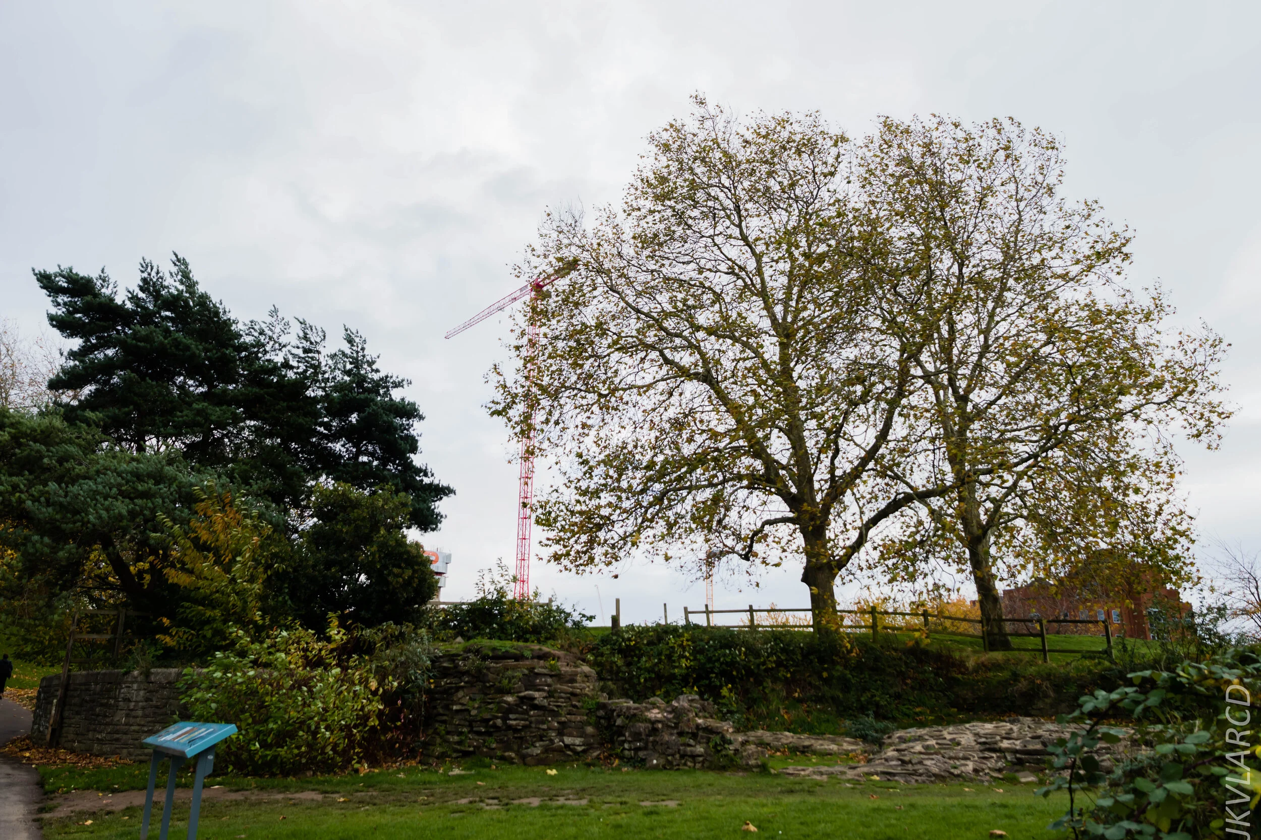 EOS 7D Mark II_2019_11_12_8099.jpg