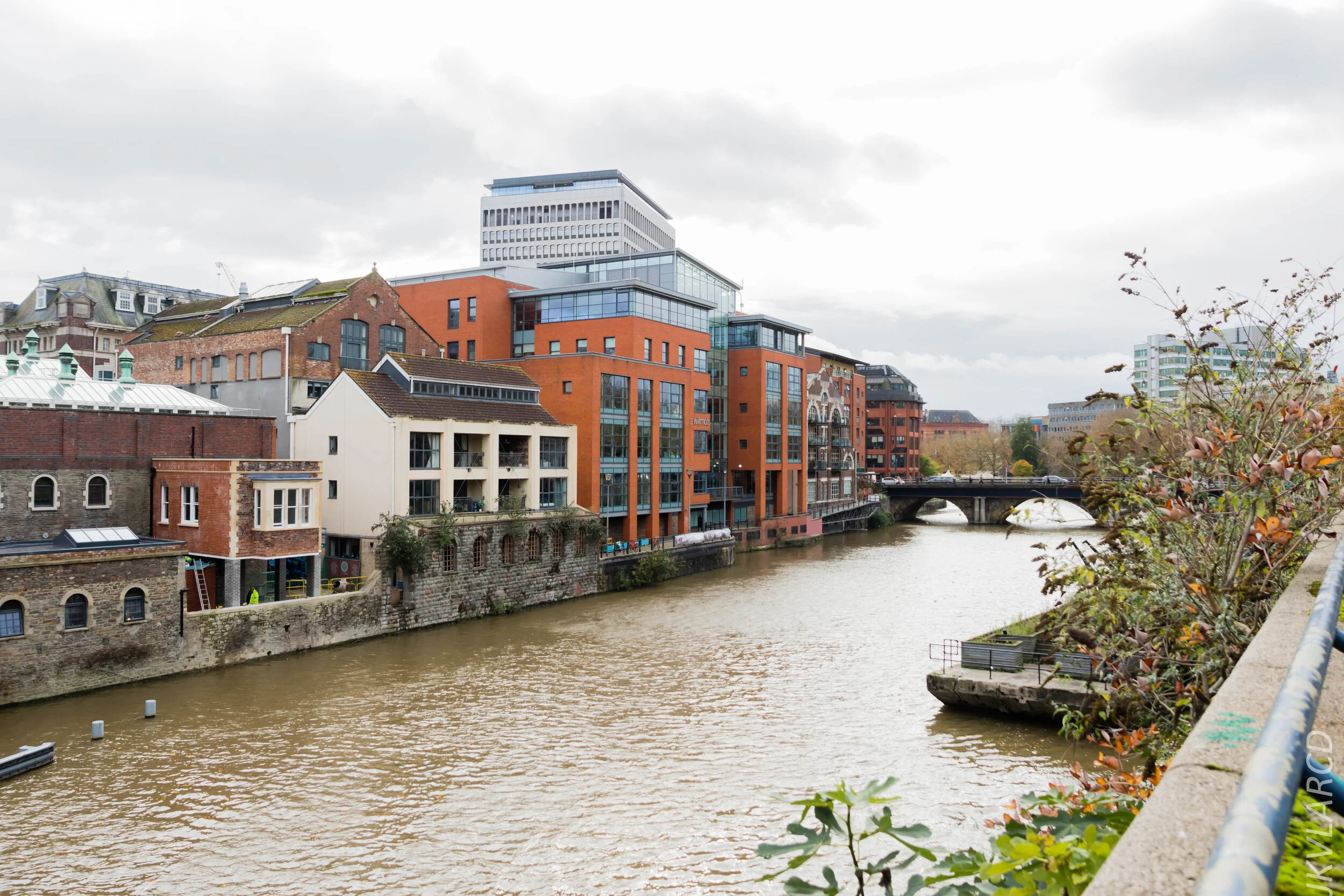 EOS 7D Mark II_2019_11_12_8103.jpg