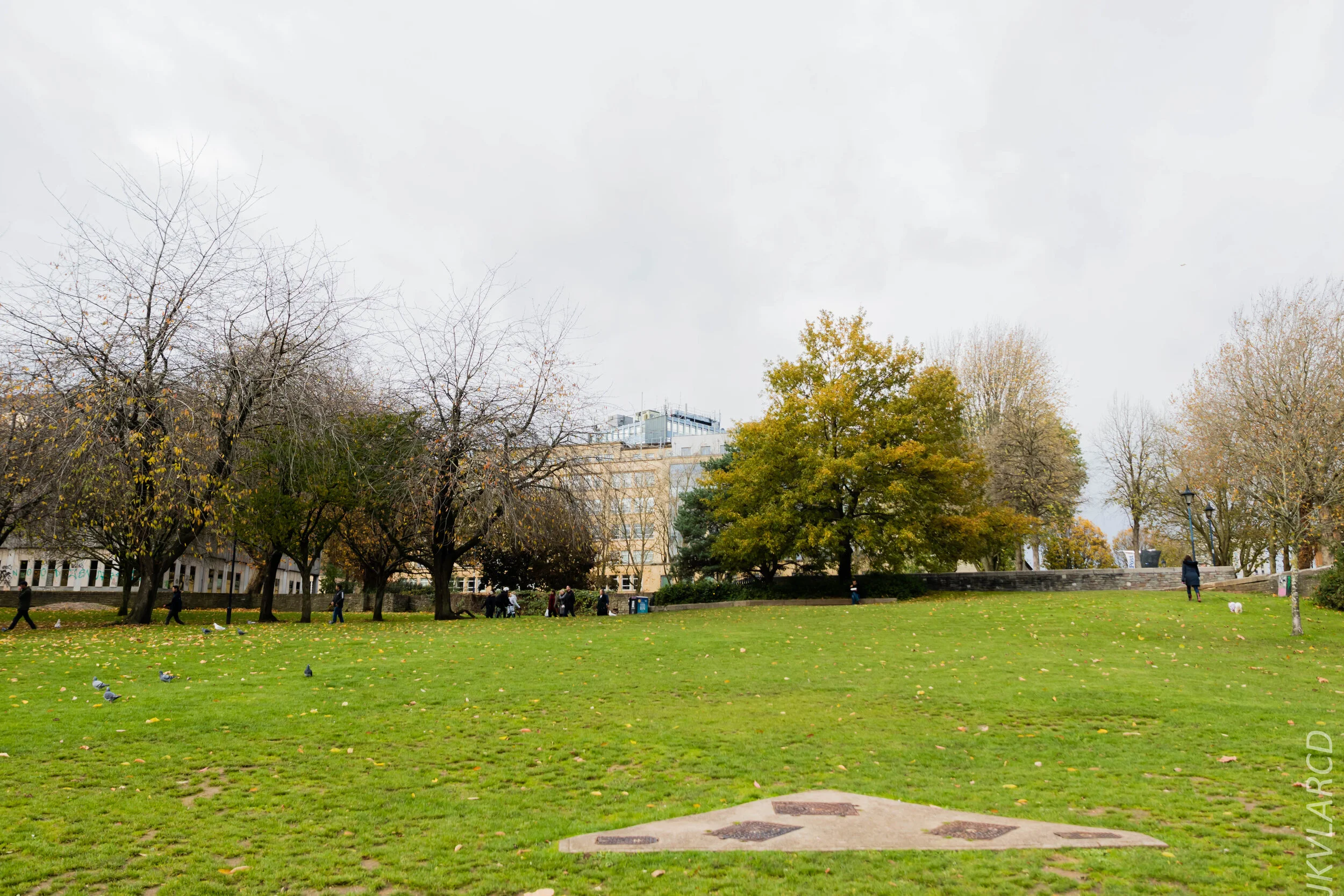 EOS 7D Mark II_2019_11_12_8104.jpg