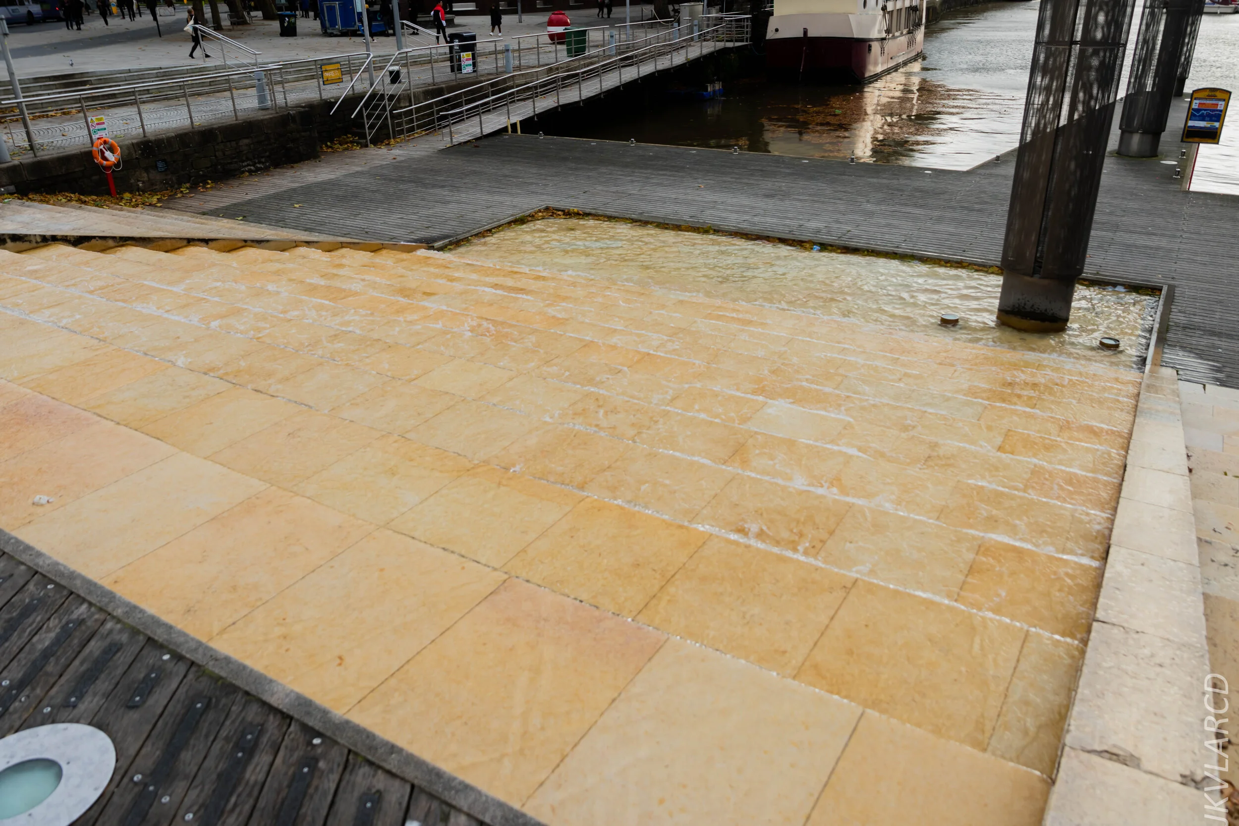 EOS 7D Mark II_2019_11_12_8118.jpg