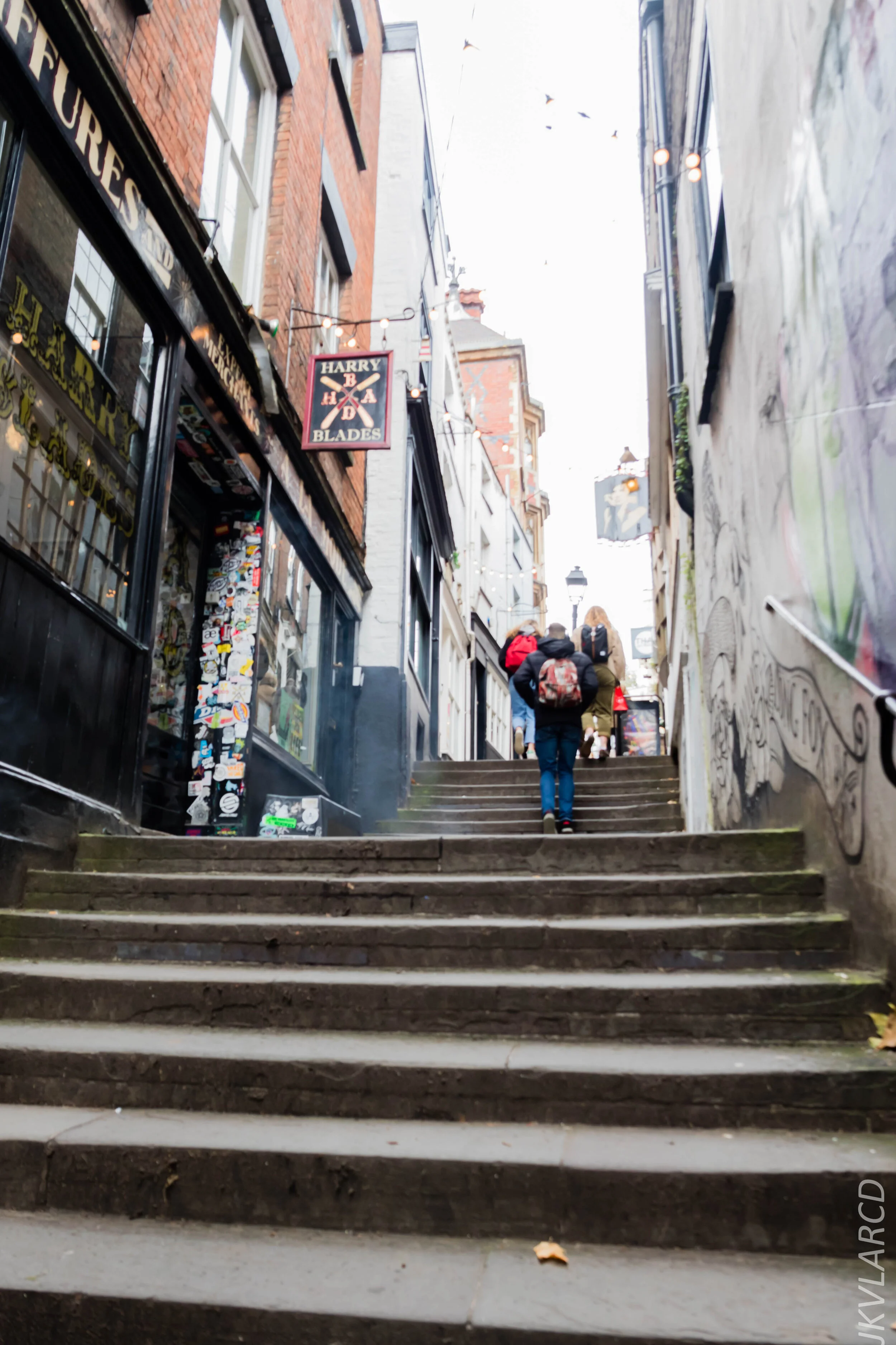 EOS 7D Mark II_2019_11_12_8130.jpg