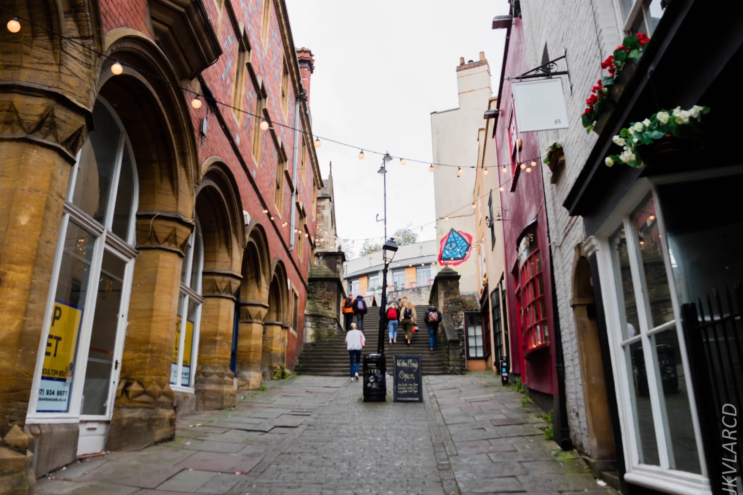 EOS 7D Mark II_2019_11_12_8131.jpg