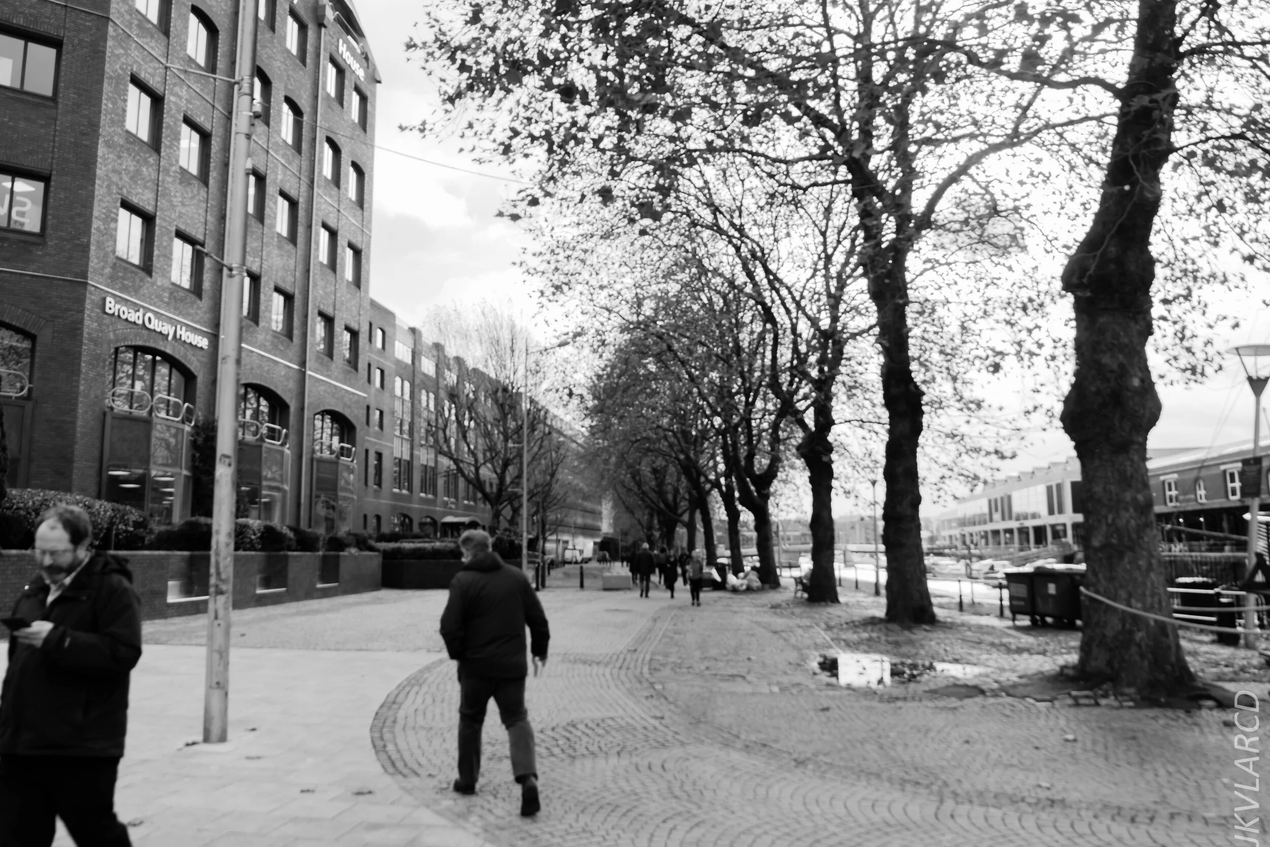 EOS 7D Mark II_2019_11_12_8135.jpg