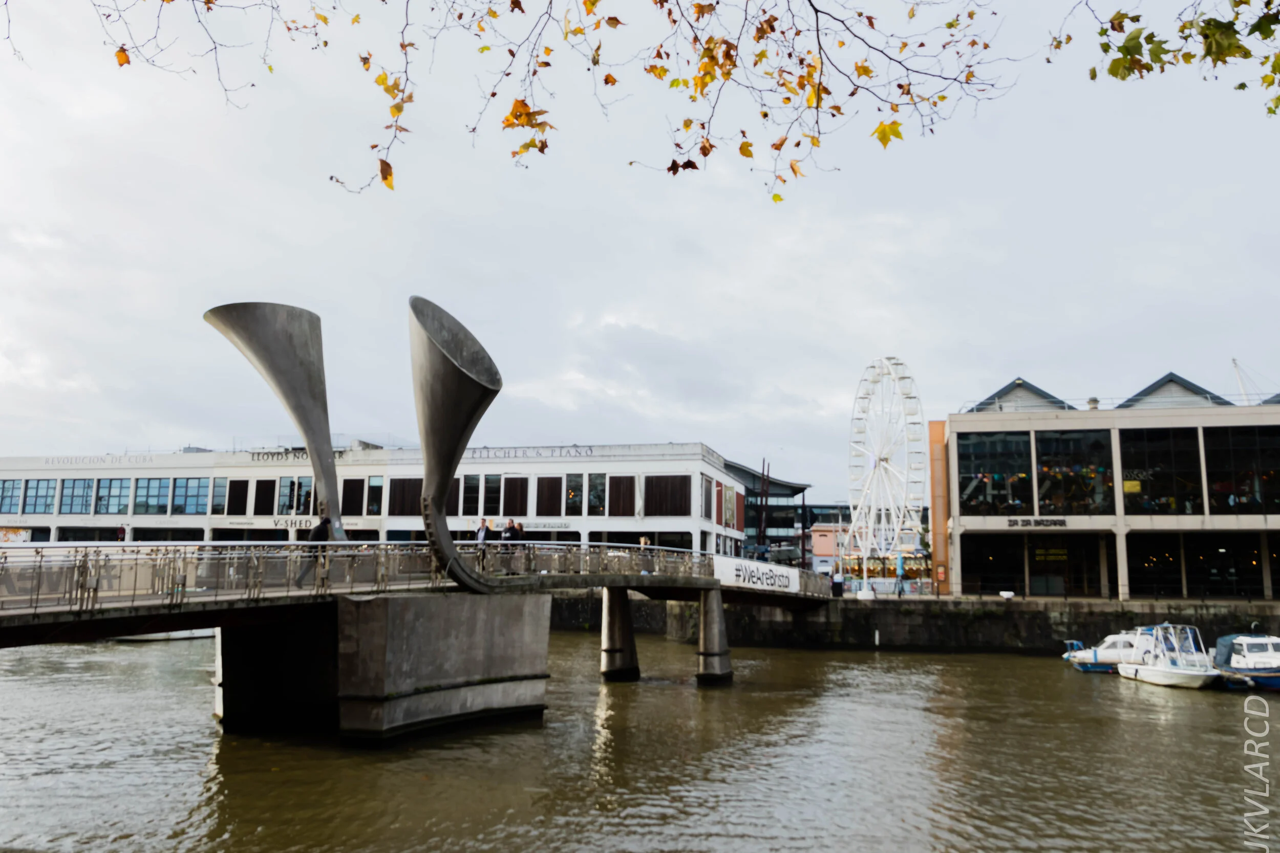 EOS 7D Mark II_2019_11_12_8136.jpg