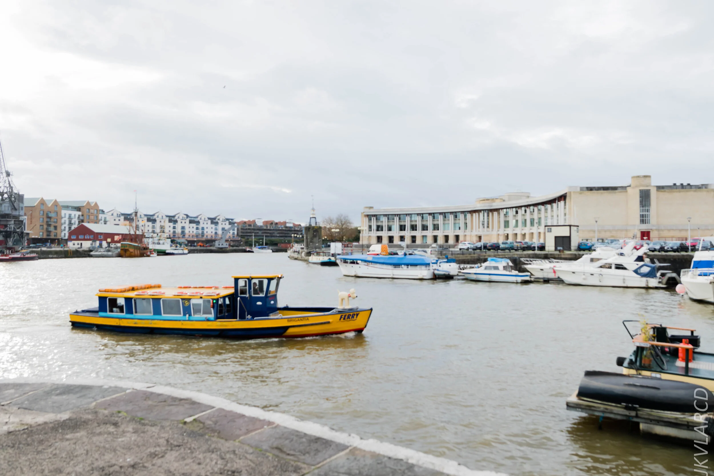 EOS 7D Mark II_2019_11_12_8138.jpg