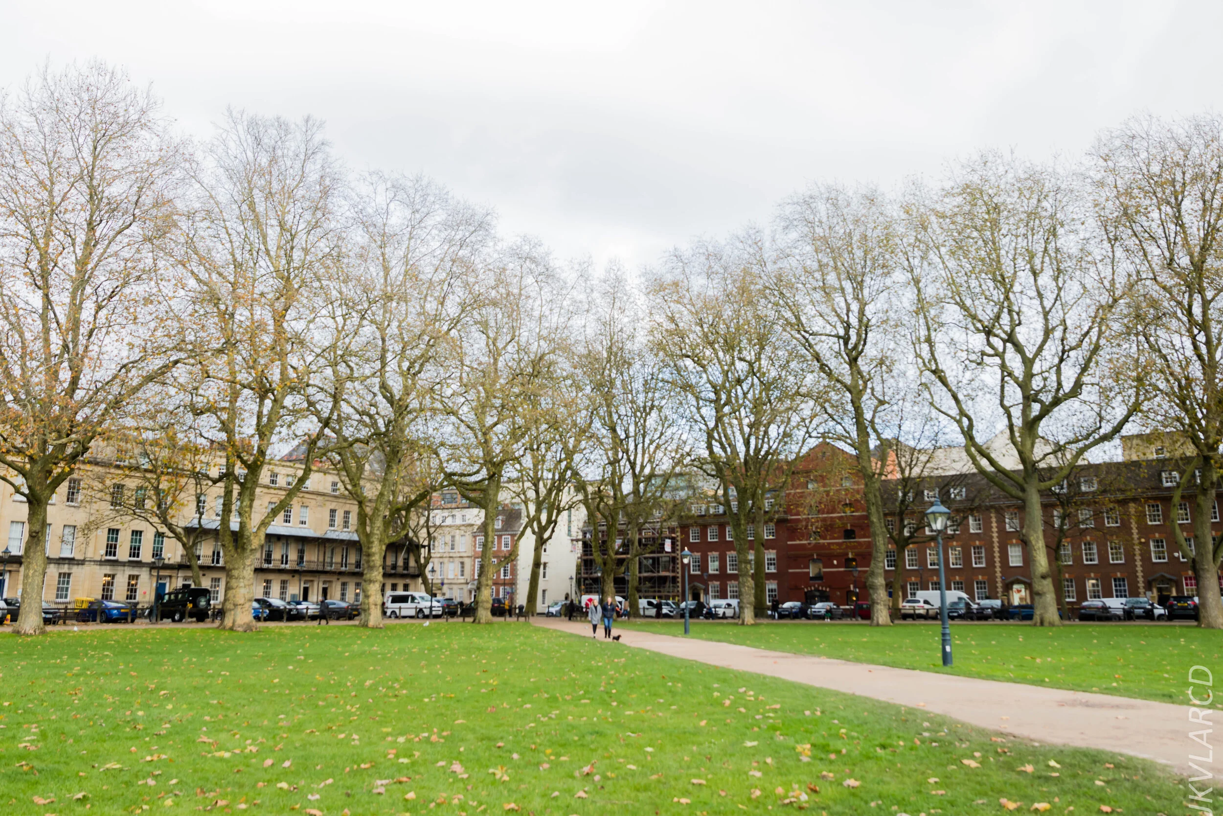 EOS 7D Mark II_2019_11_12_8140.jpg