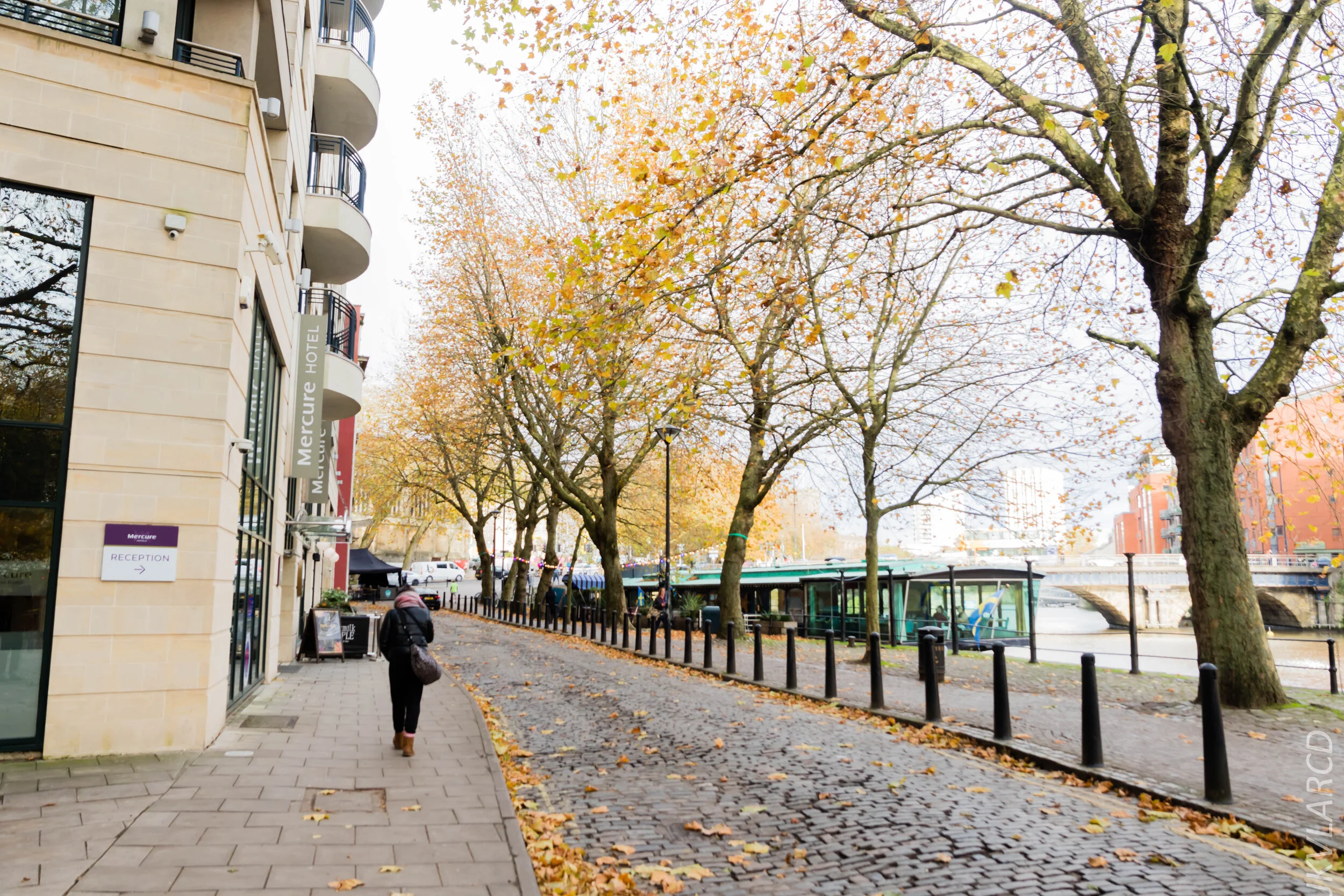 EOS 7D Mark II_2019_11_12_8143.jpg