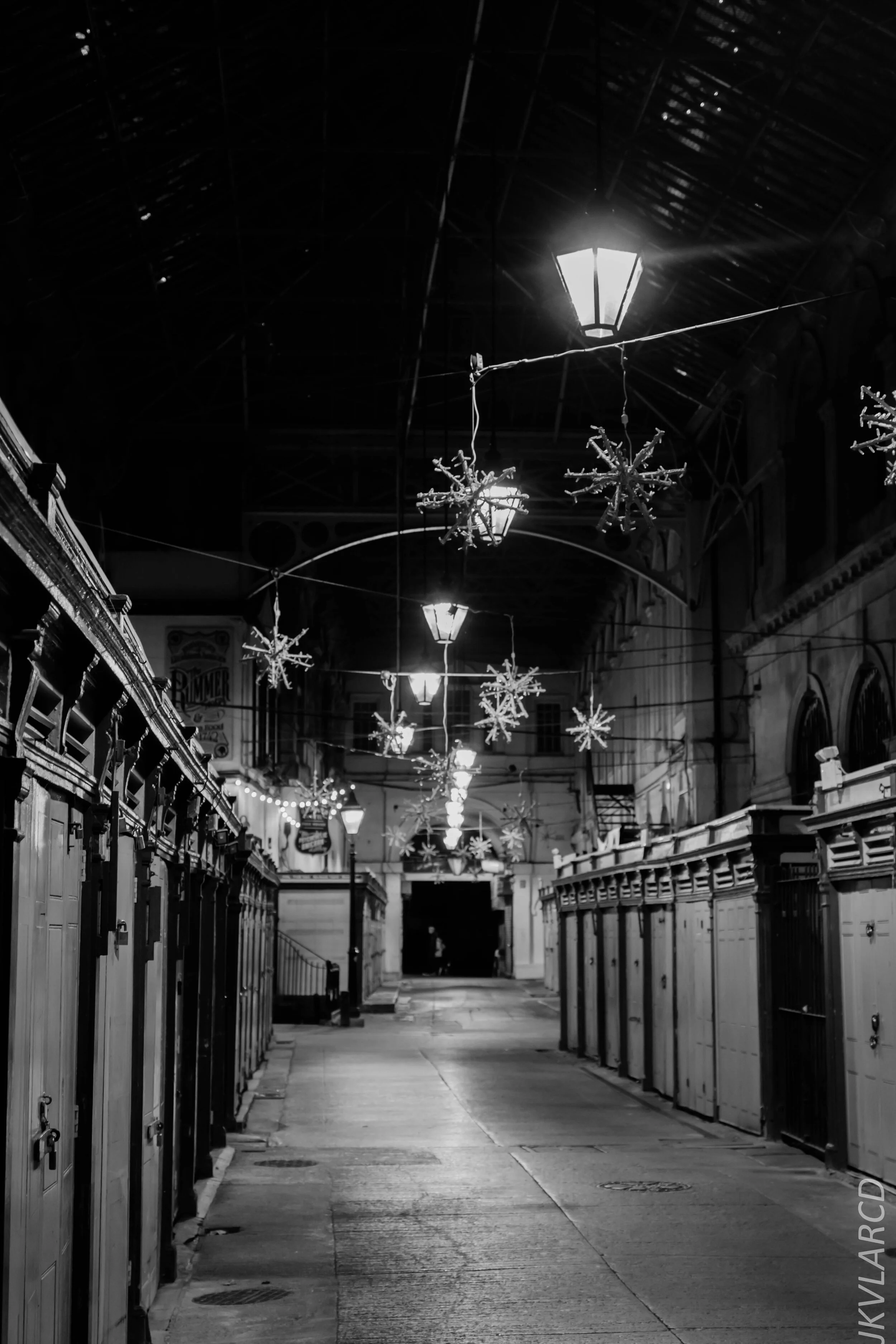 EOS 7D Mark II_2019_11_12_8147.jpg