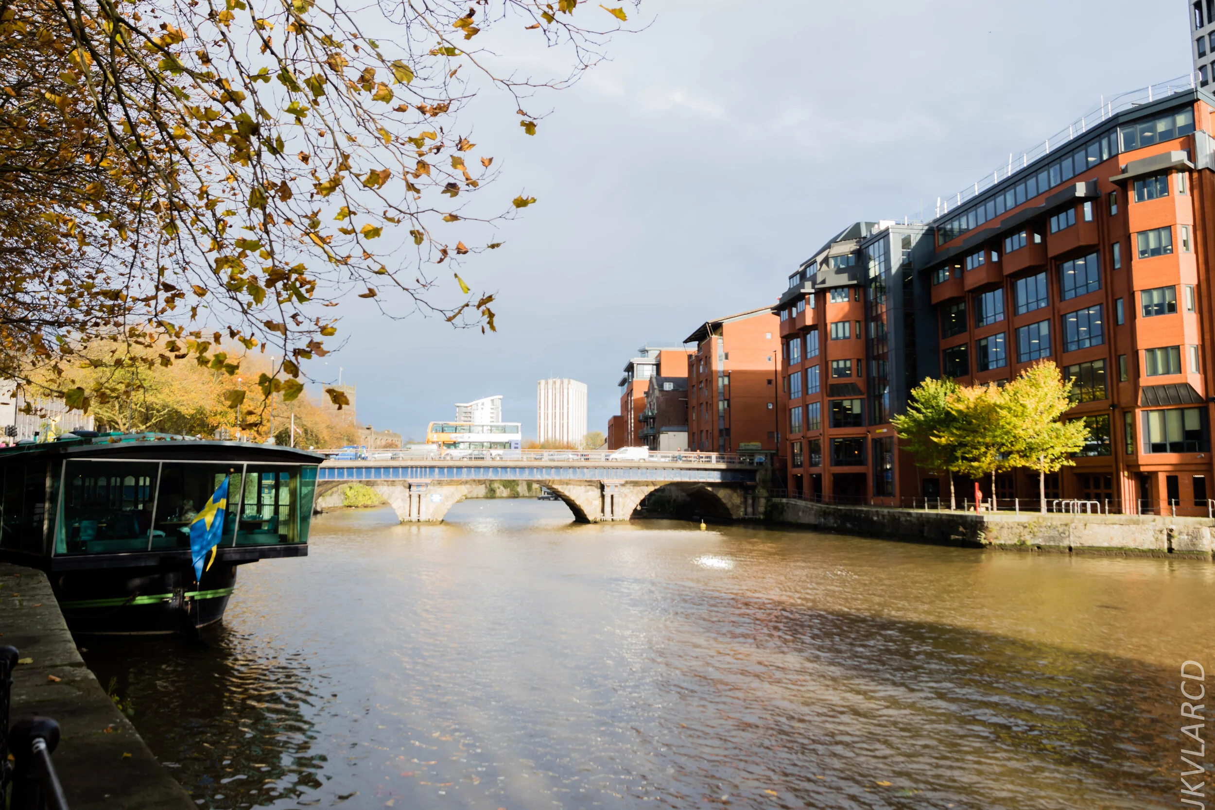 EOS 7D Mark II_2019_11_12_8146.jpg