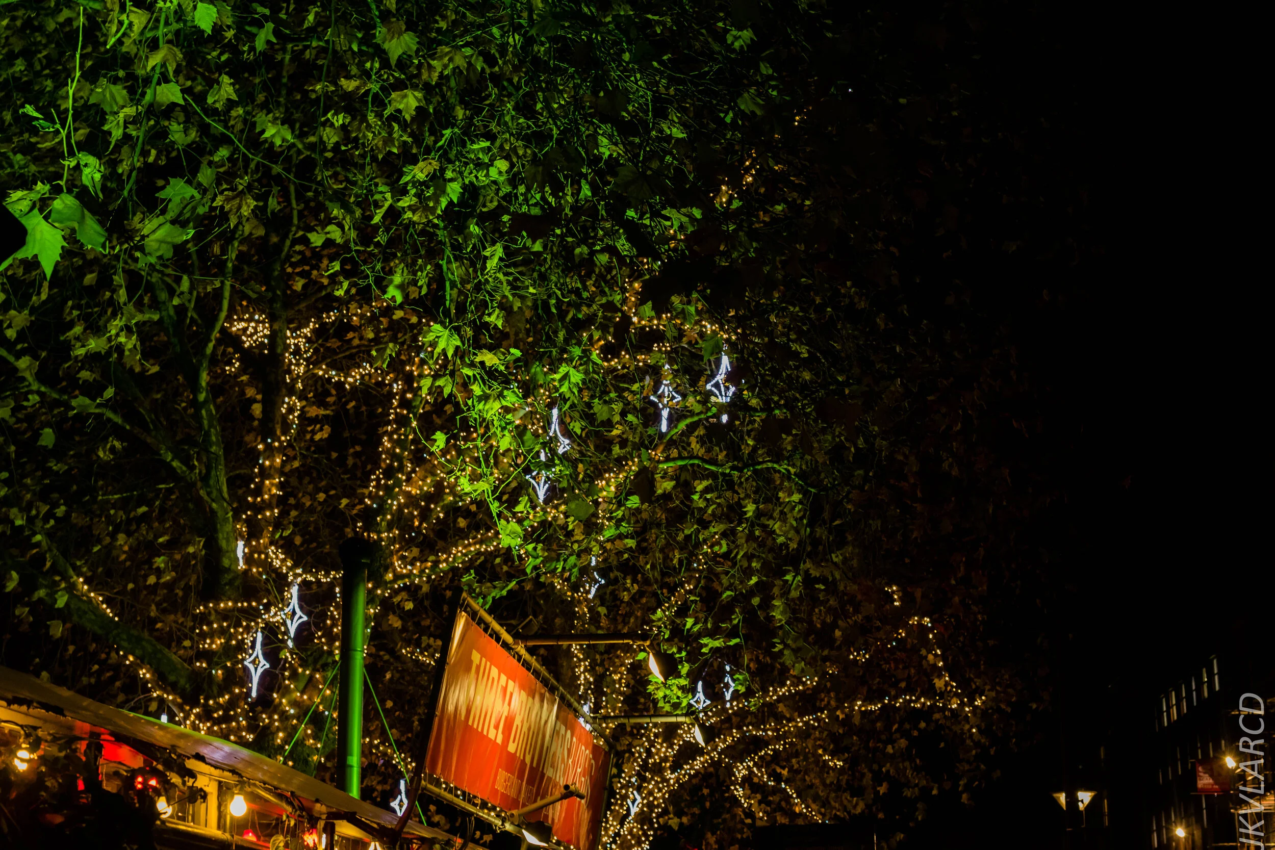 EOS 7D Mark II_2019_11_12_8165.jpg