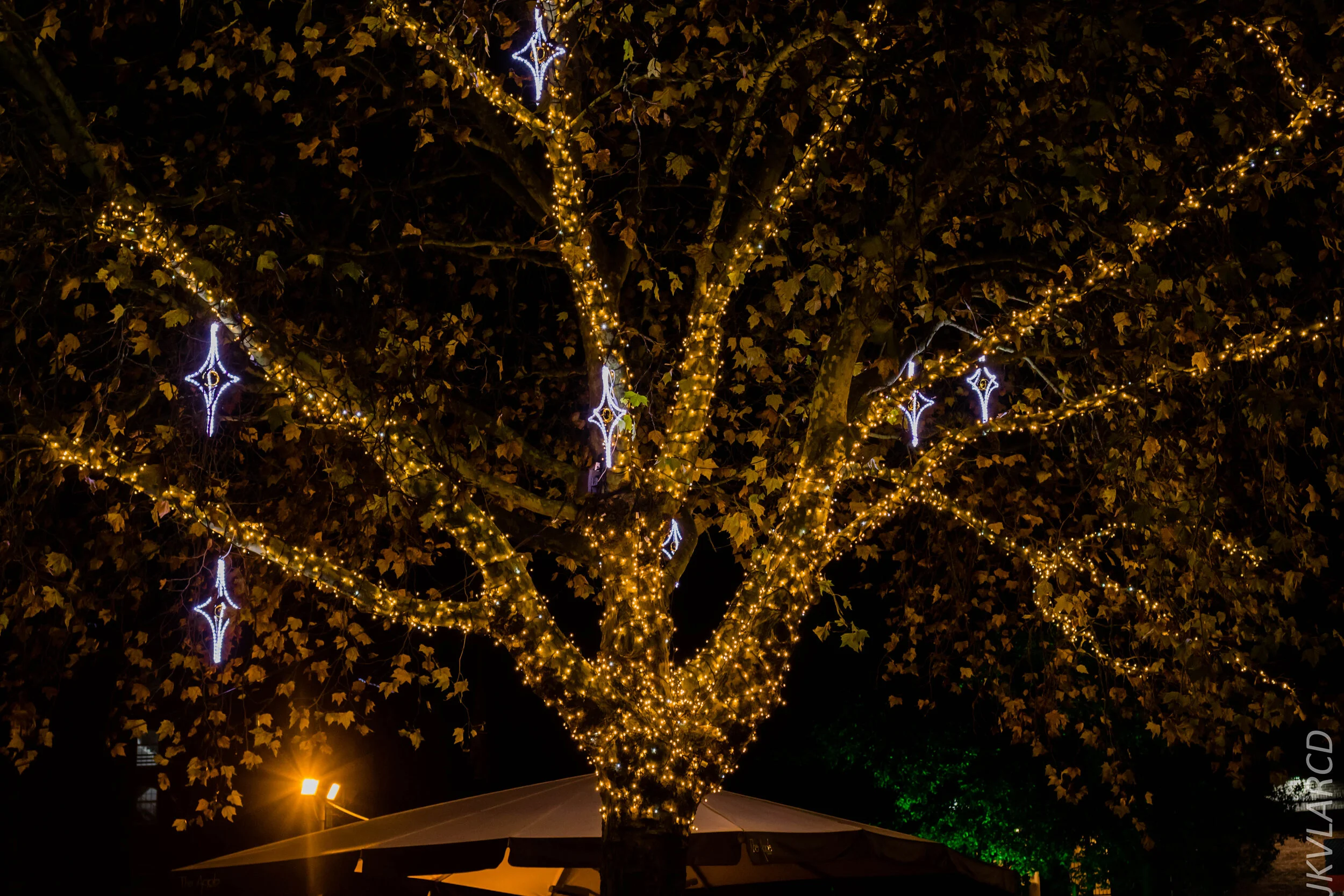 EOS 7D Mark II_2019_11_12_8166.jpg