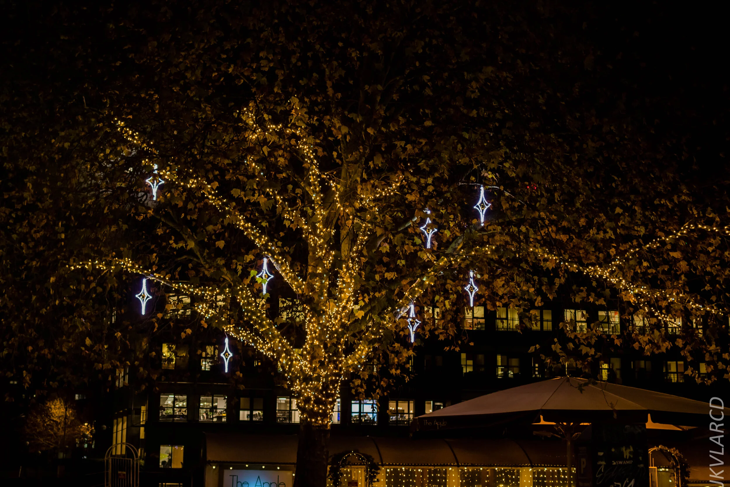 EOS 7D Mark II_2019_11_12_8167.jpg