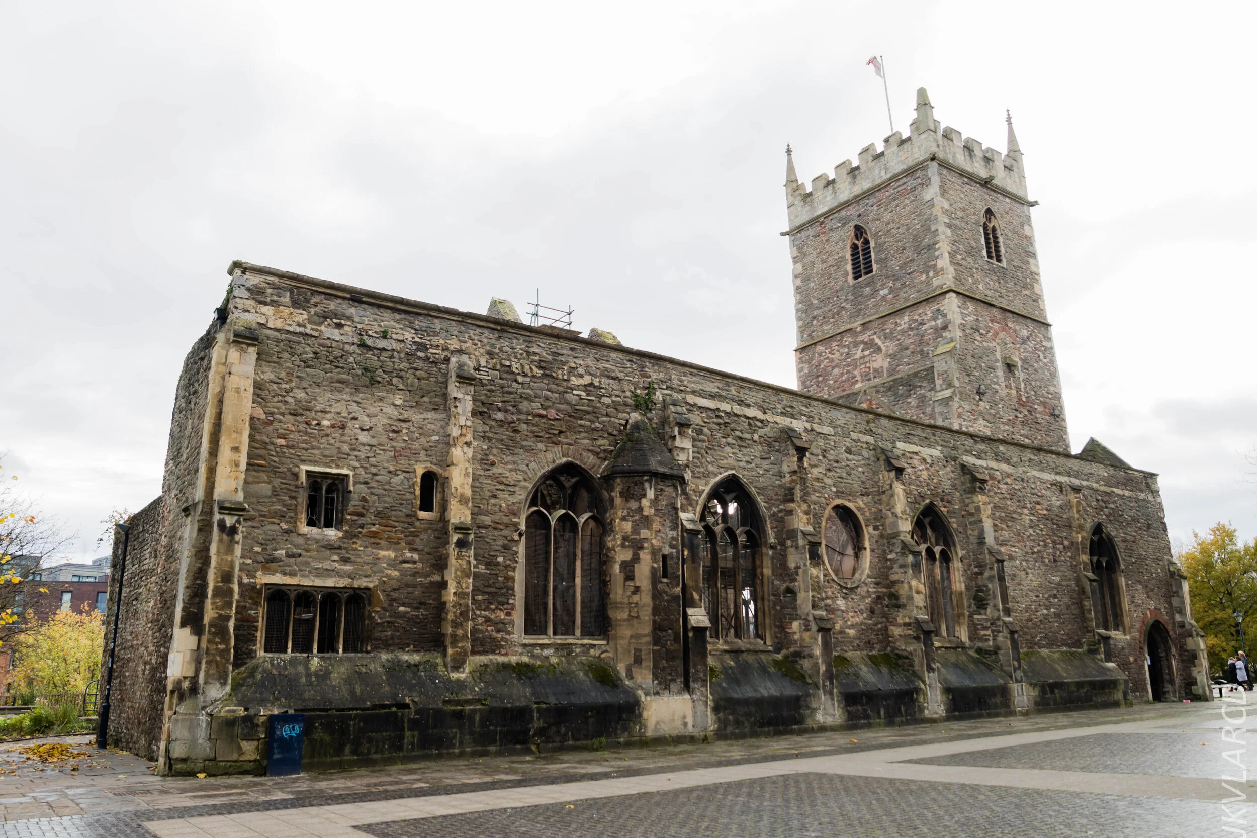 EOS 7D Mark II_2019_11_12_8100.jpg