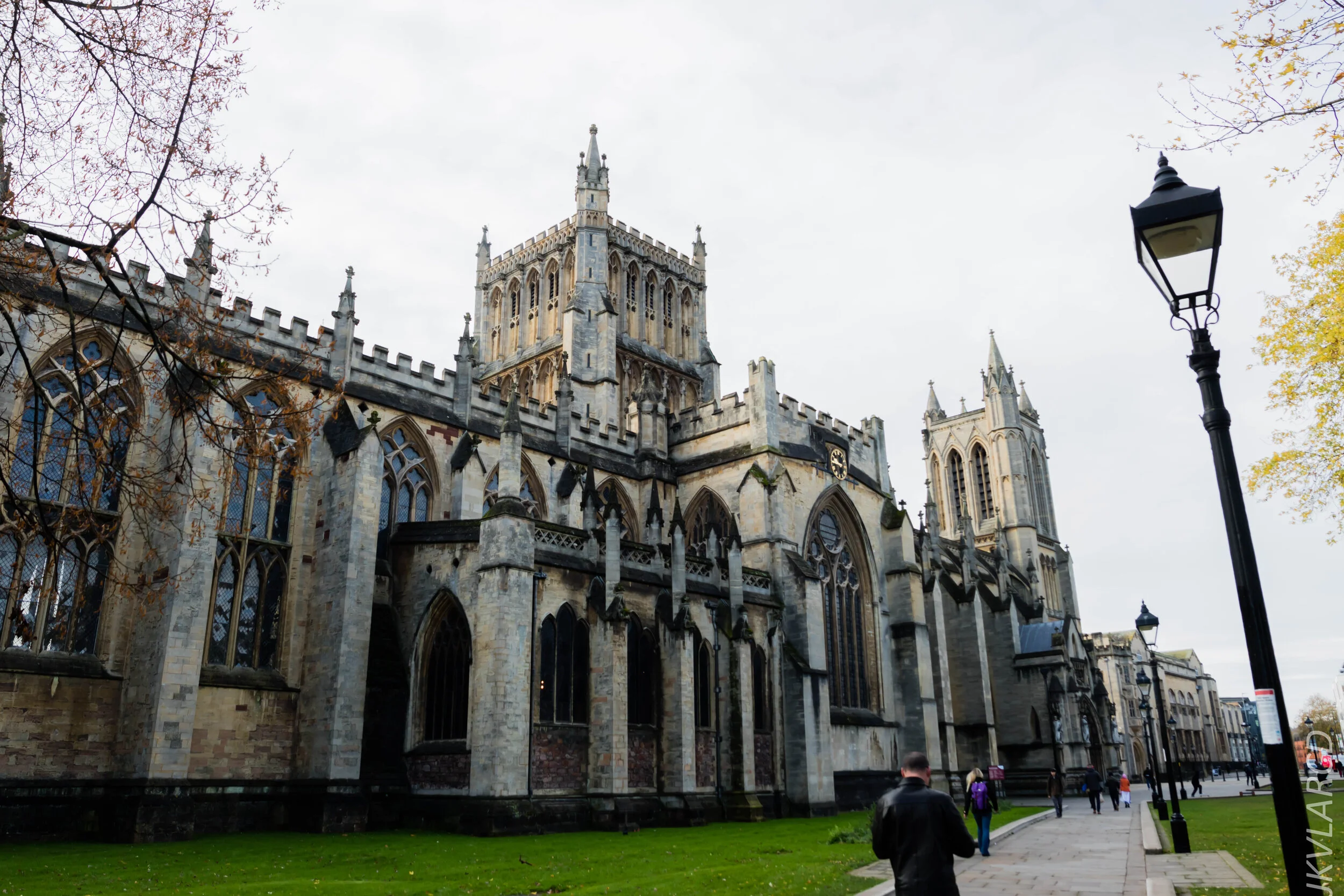 EOS 7D Mark II_2019_11_13_8182.jpg