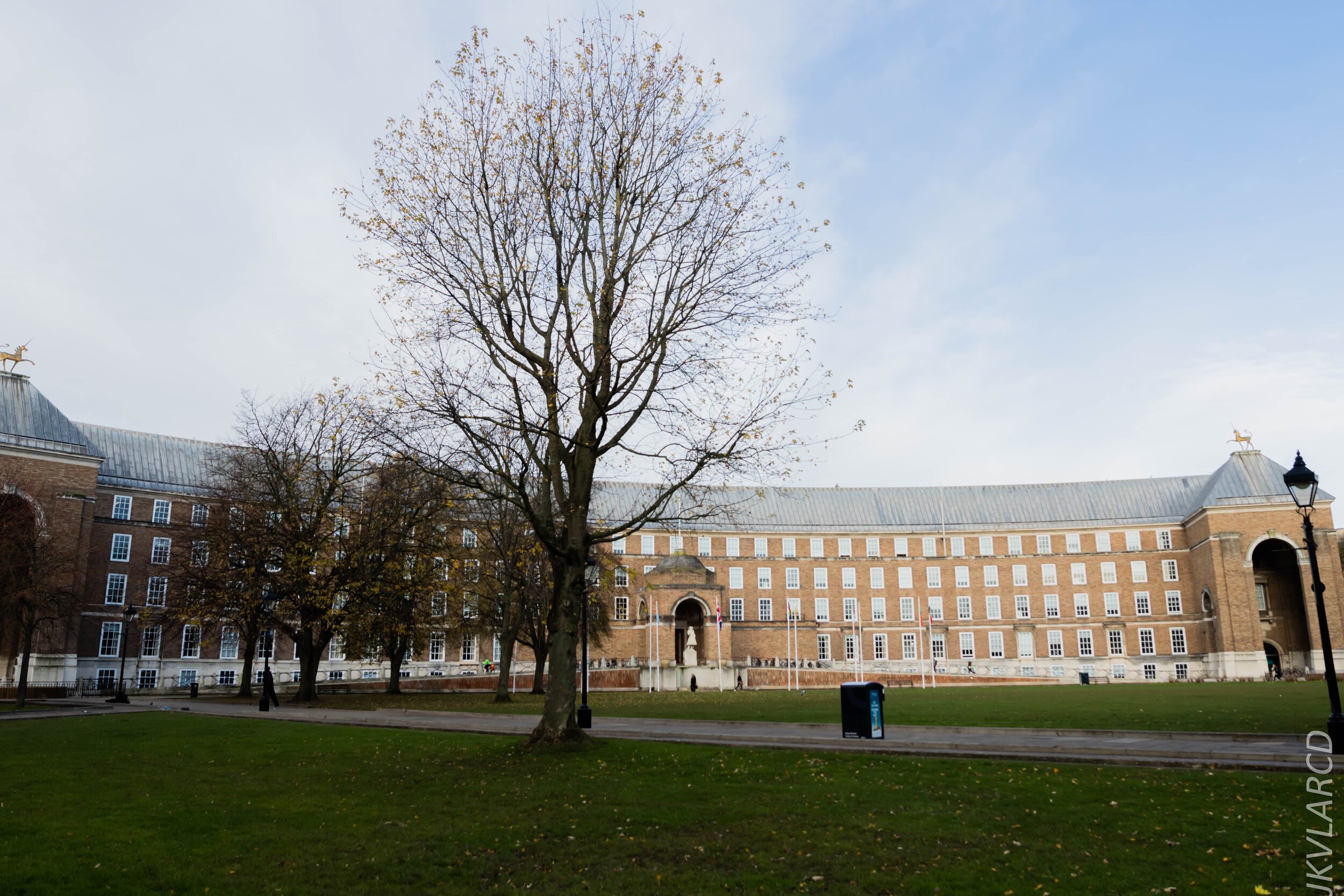 EOS 7D Mark II_2019_11_13_8183.jpg