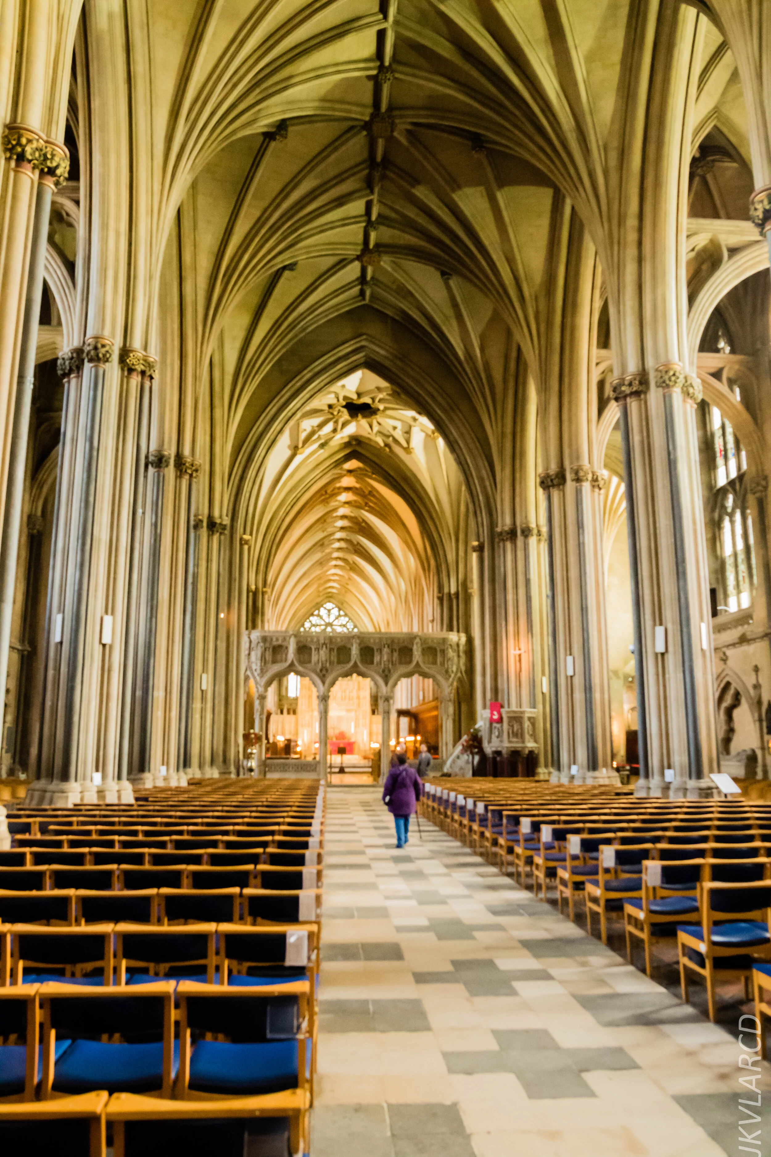 EOS 7D Mark II_2019_11_13_8184.jpg