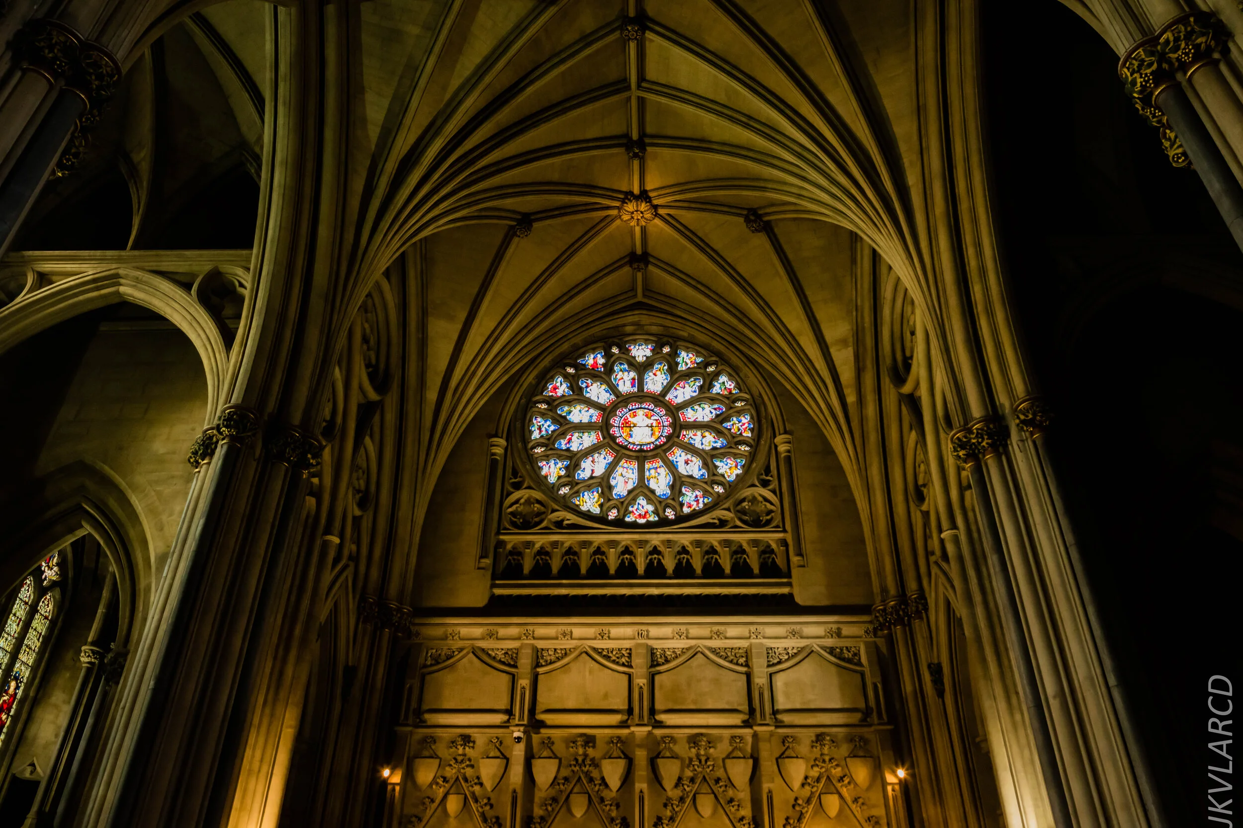 EOS 7D Mark II_2019_11_13_8188.jpg