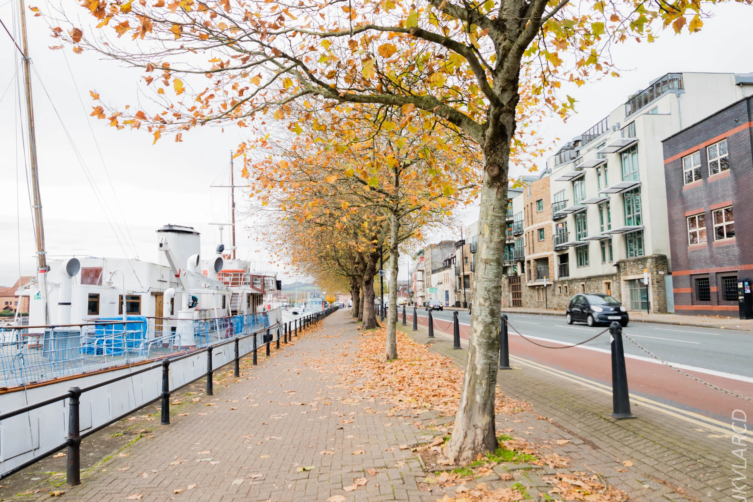 EOS 7D Mark II_2019_11_13_8196.jpg