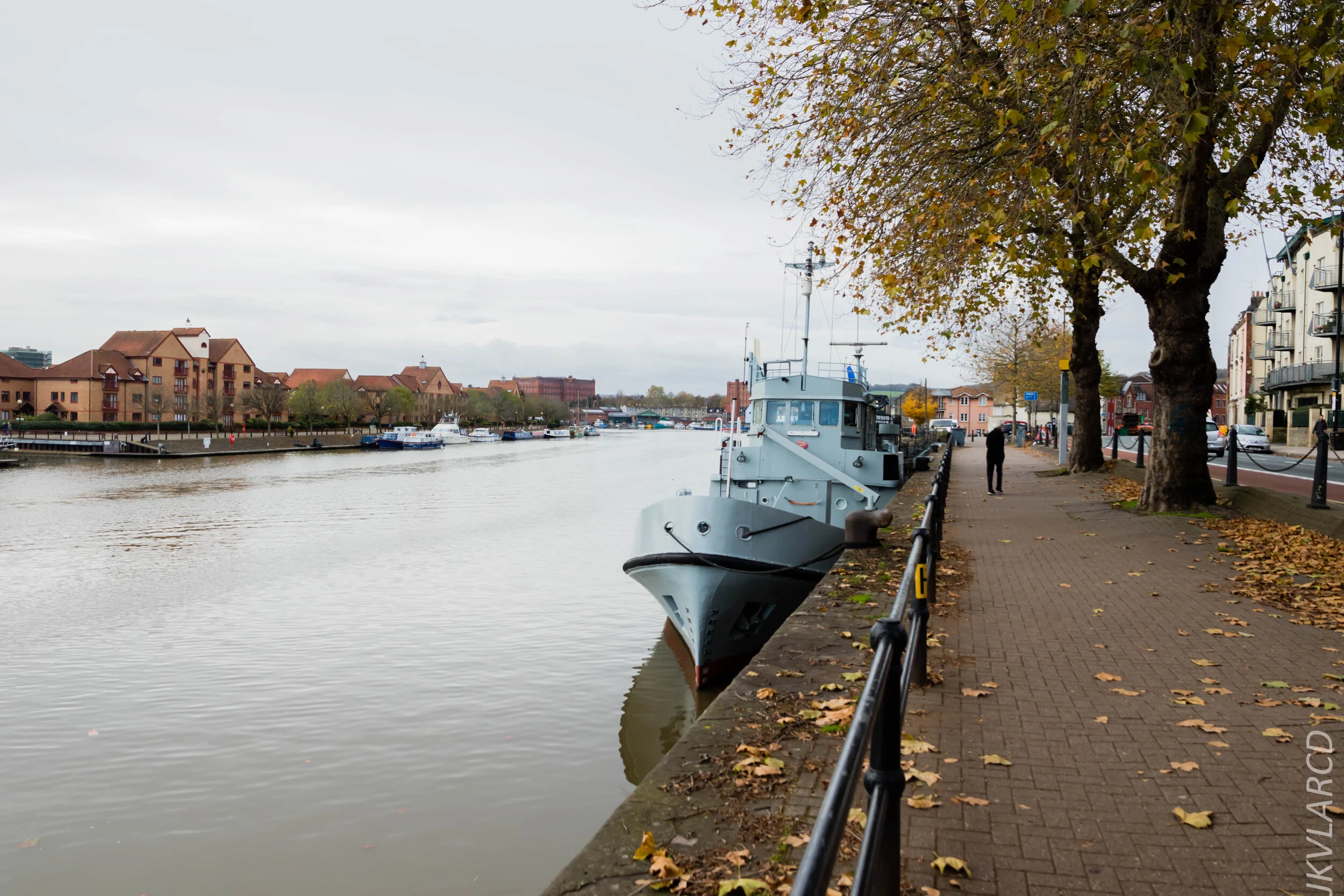 EOS 7D Mark II_2019_11_13_8198.jpg