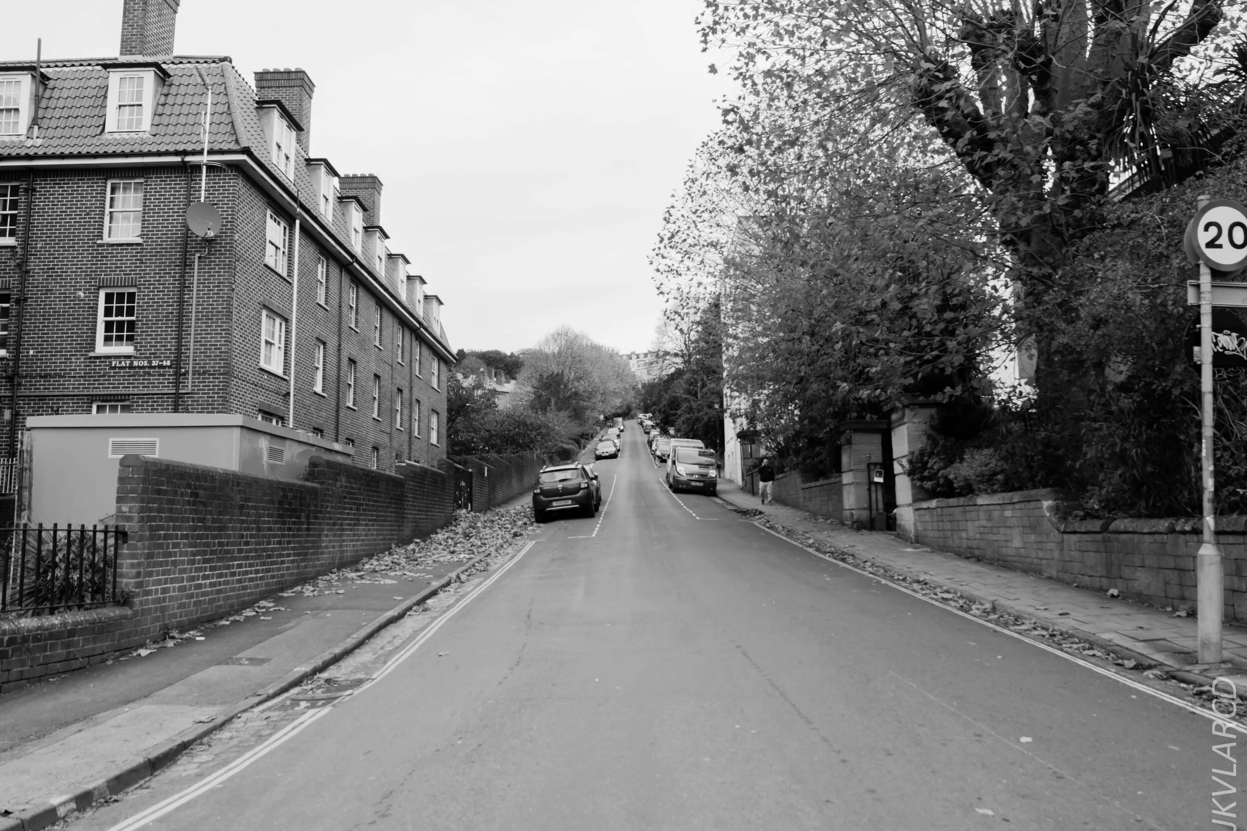 EOS 7D Mark II_2019_11_13_8202.jpg