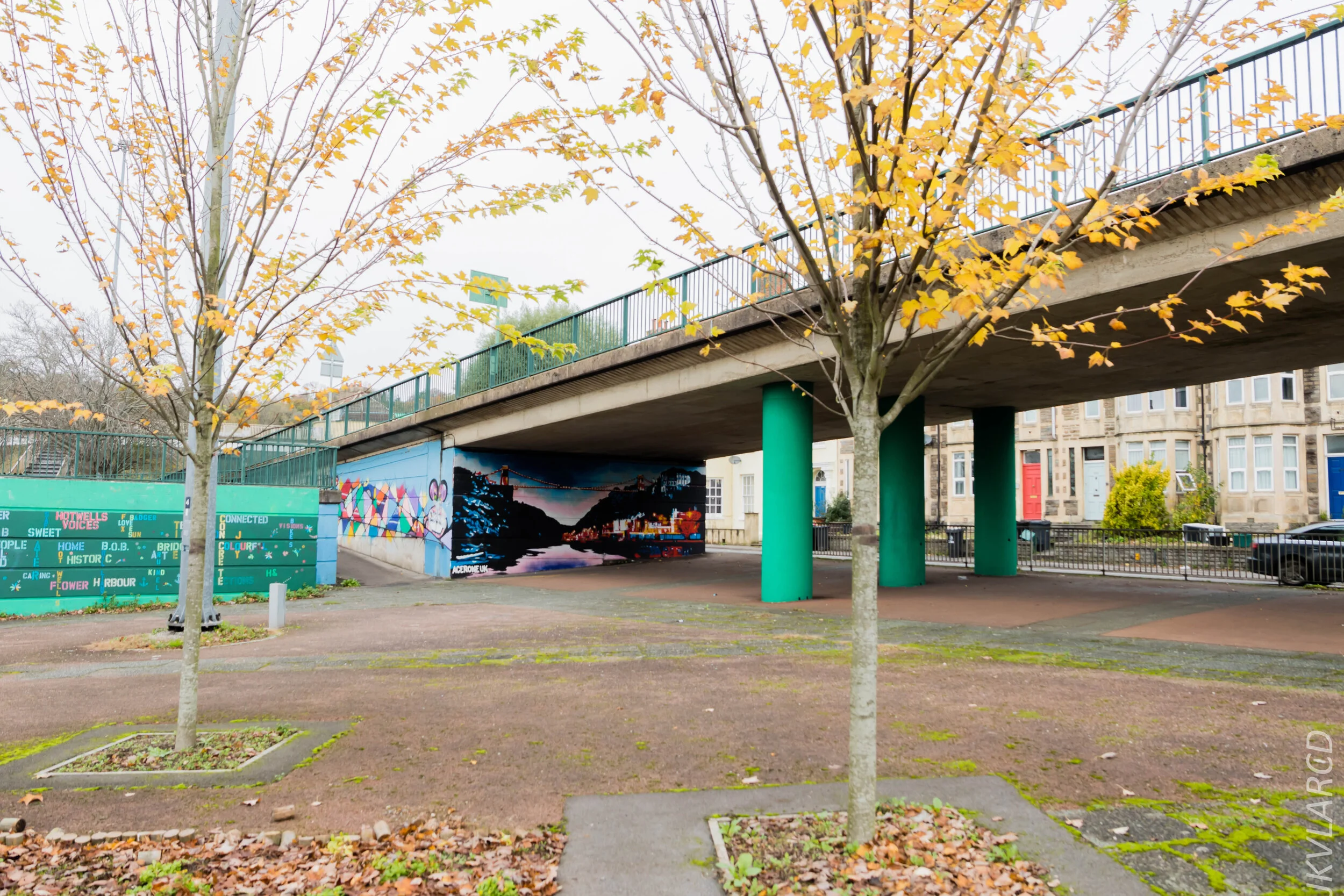 EOS 7D Mark II_2019_11_13_8203.jpg