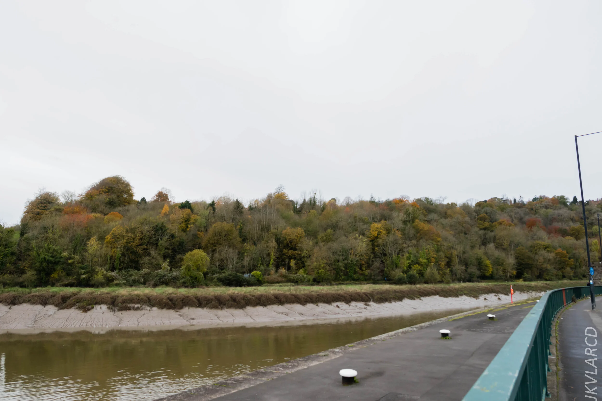 EOS 7D Mark II_2019_11_13_8206.jpg