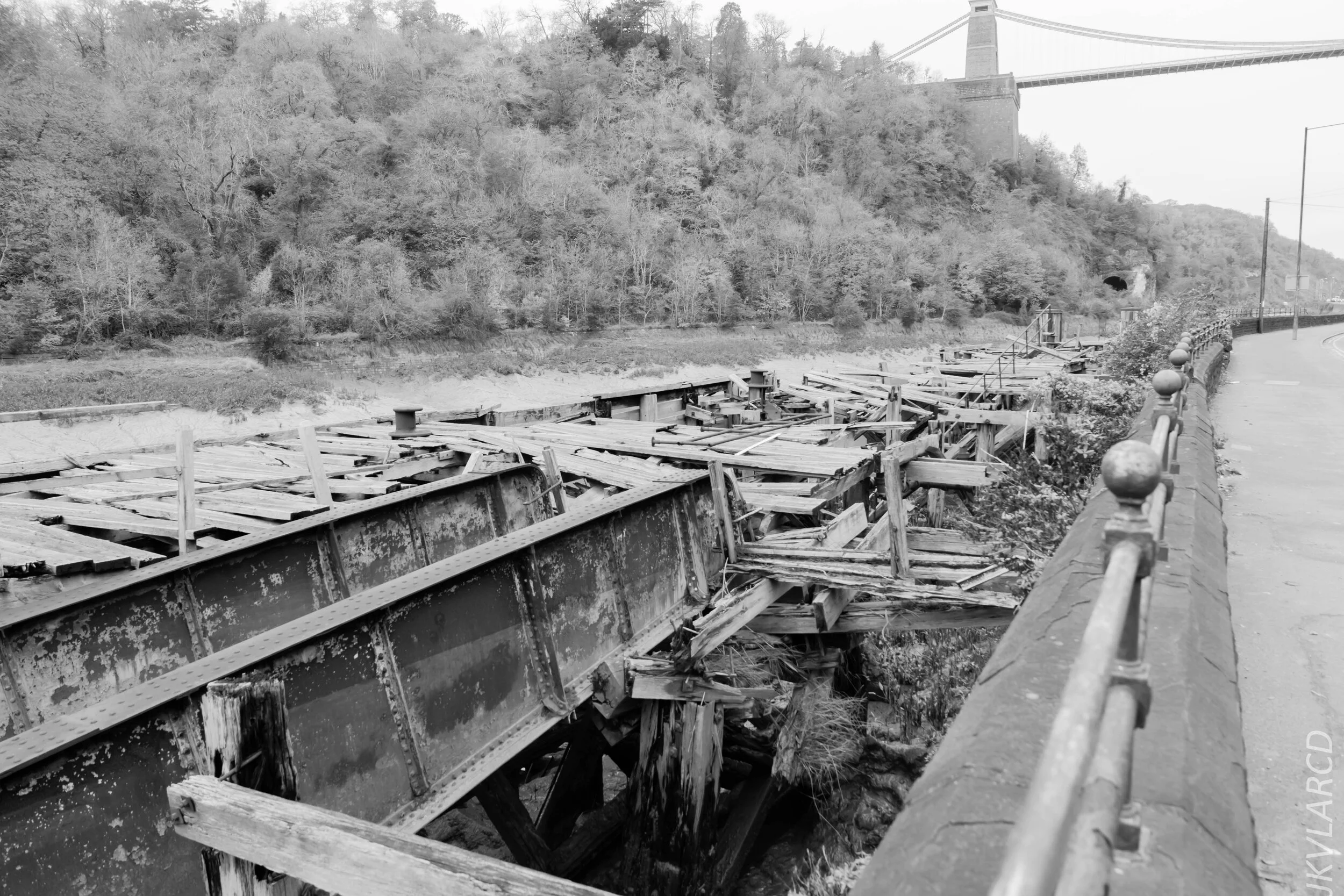 EOS 7D Mark II_2019_11_13_8209.jpg