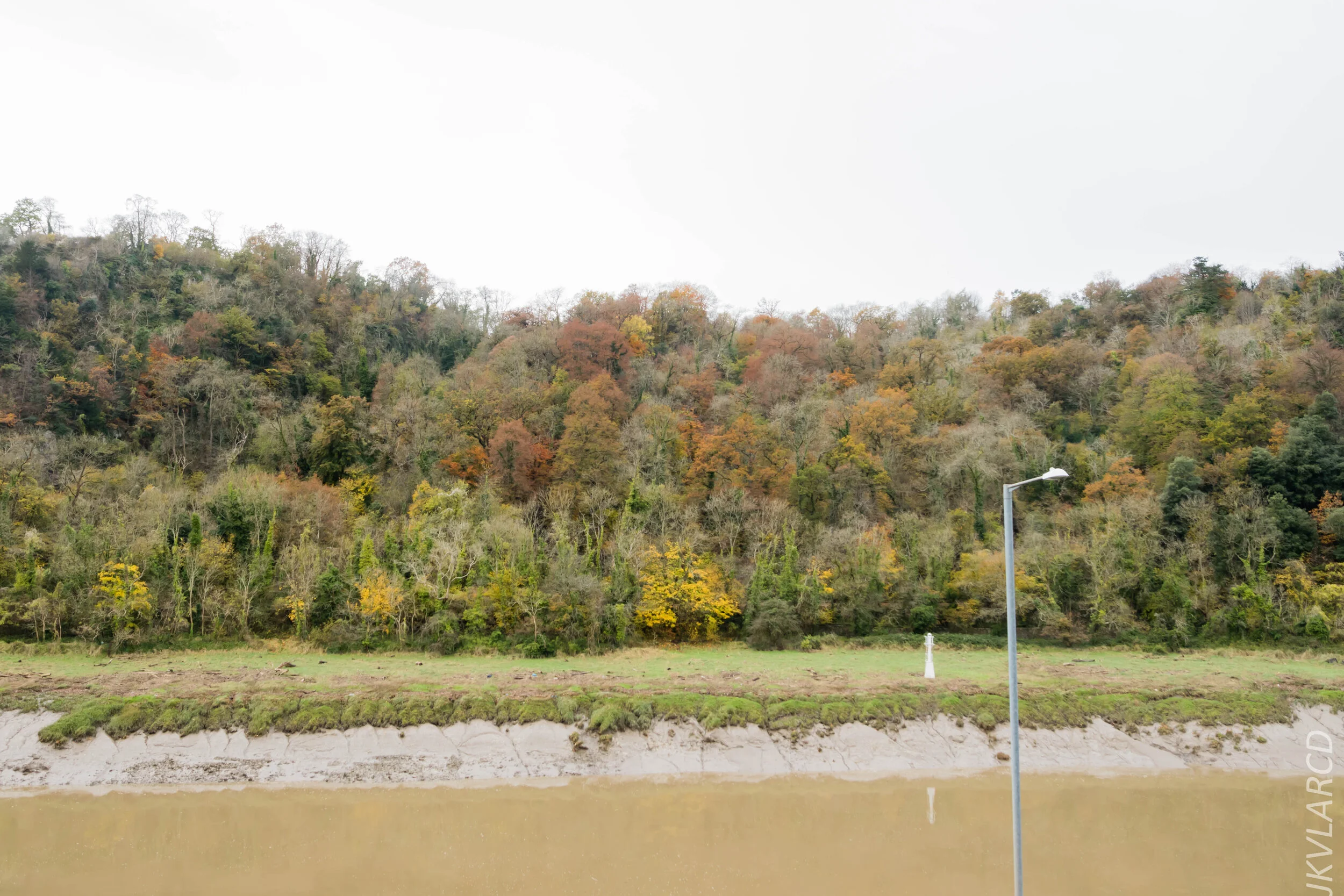 EOS 7D Mark II_2019_11_13_8221.jpg