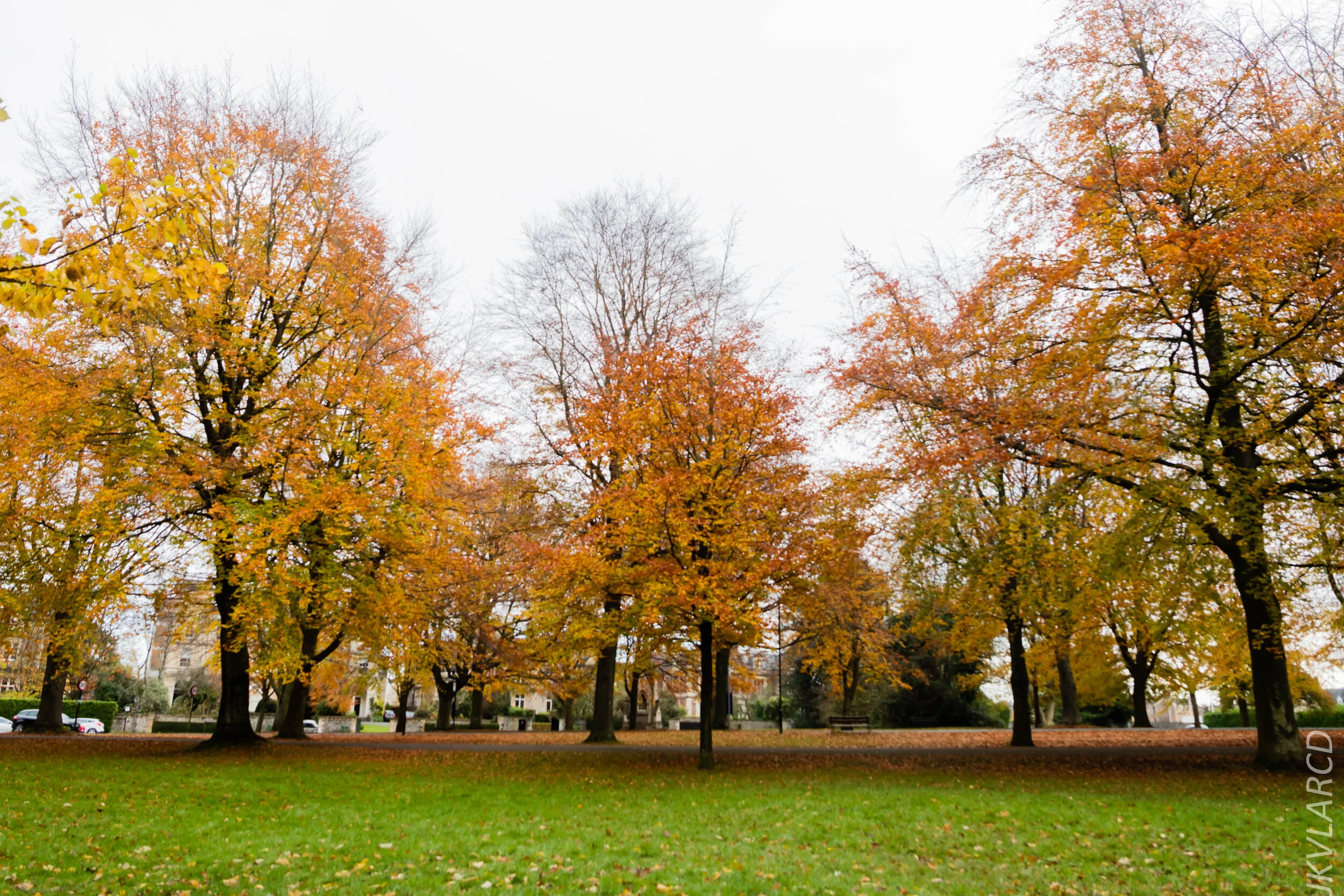 EOS 7D Mark II_2019_11_13_8222.jpg