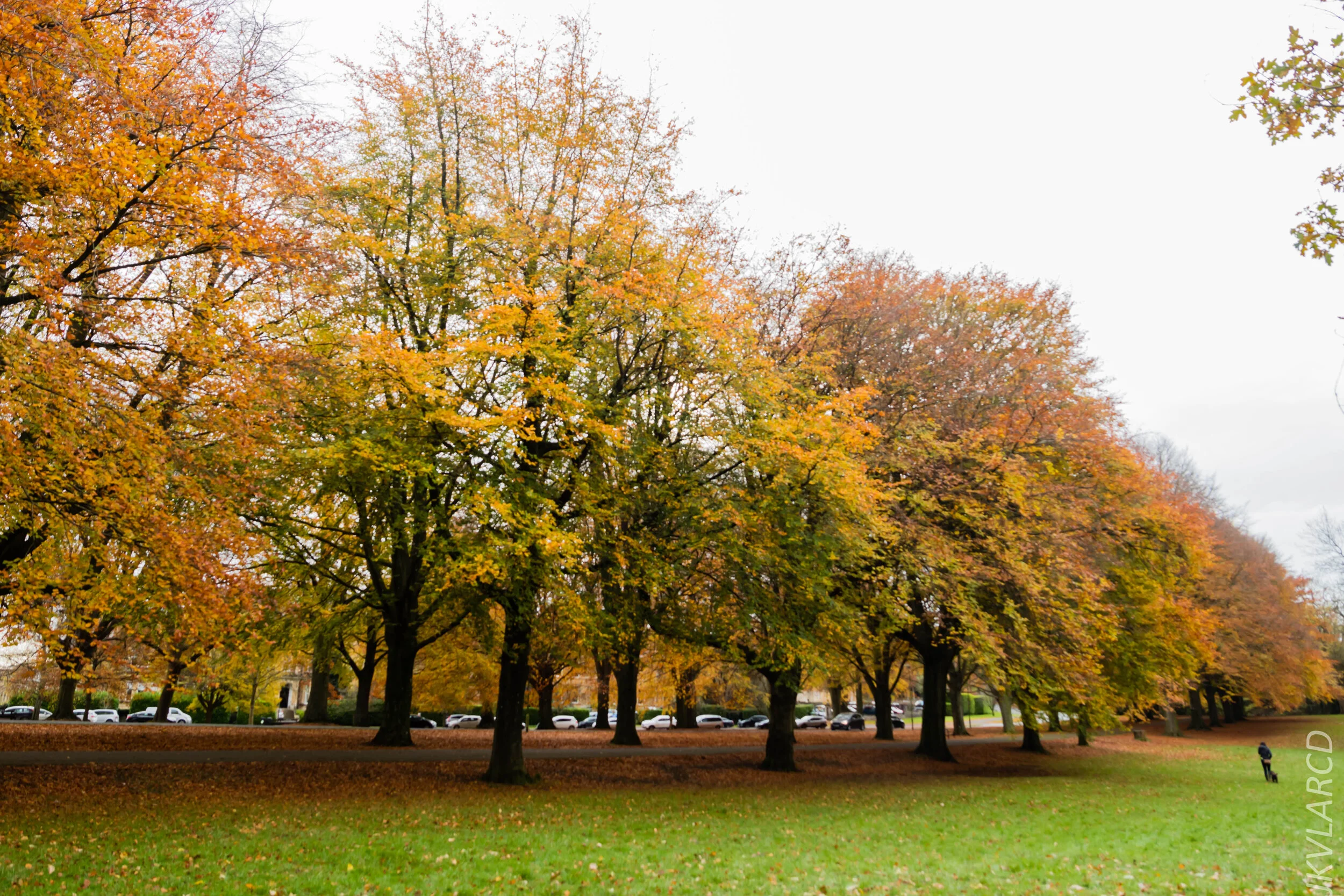 EOS 7D Mark II_2019_11_13_8223.jpg